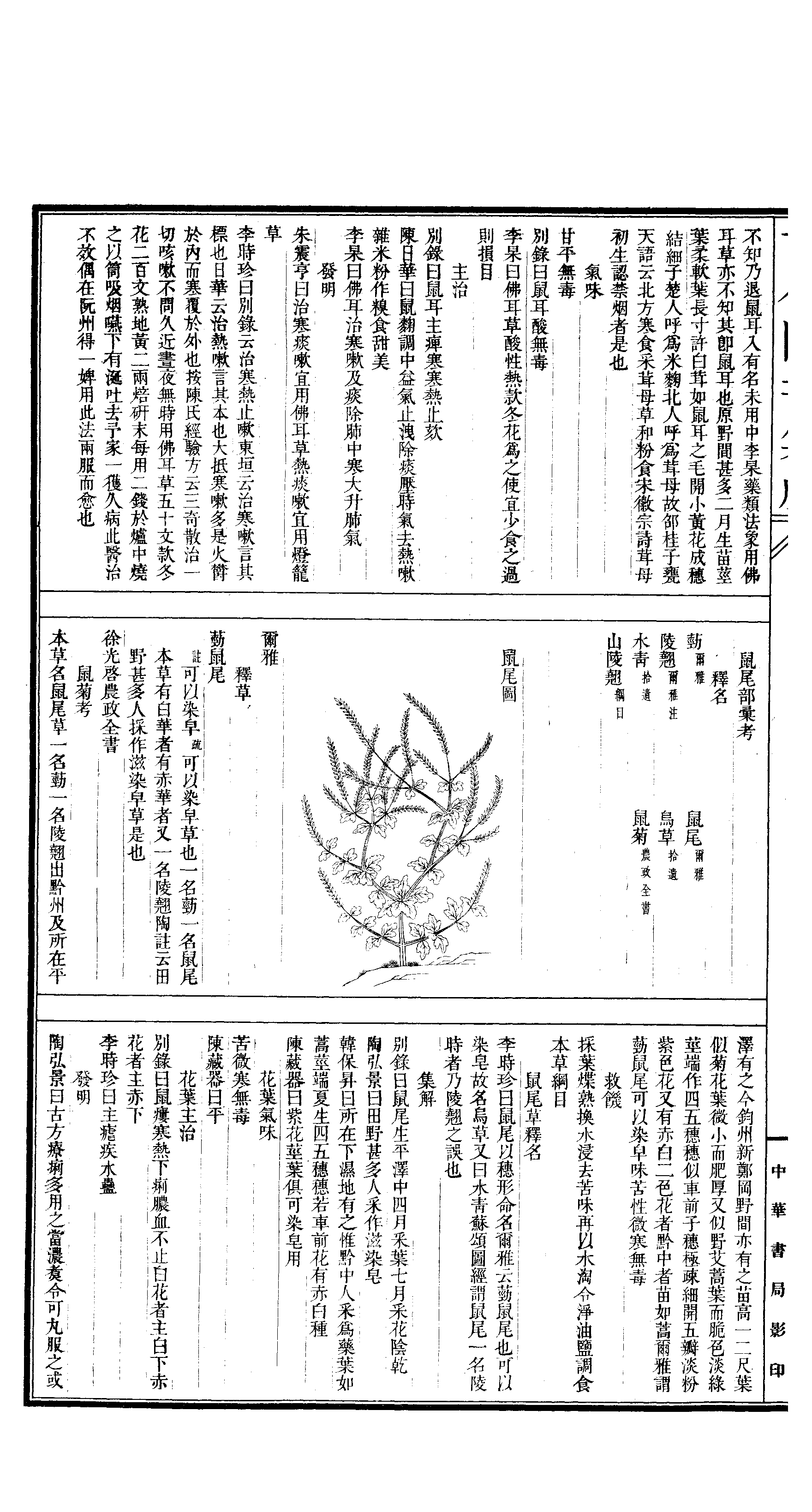 545 古今图书集成·博物汇编·草木典·卷一百六.pdf 第3页