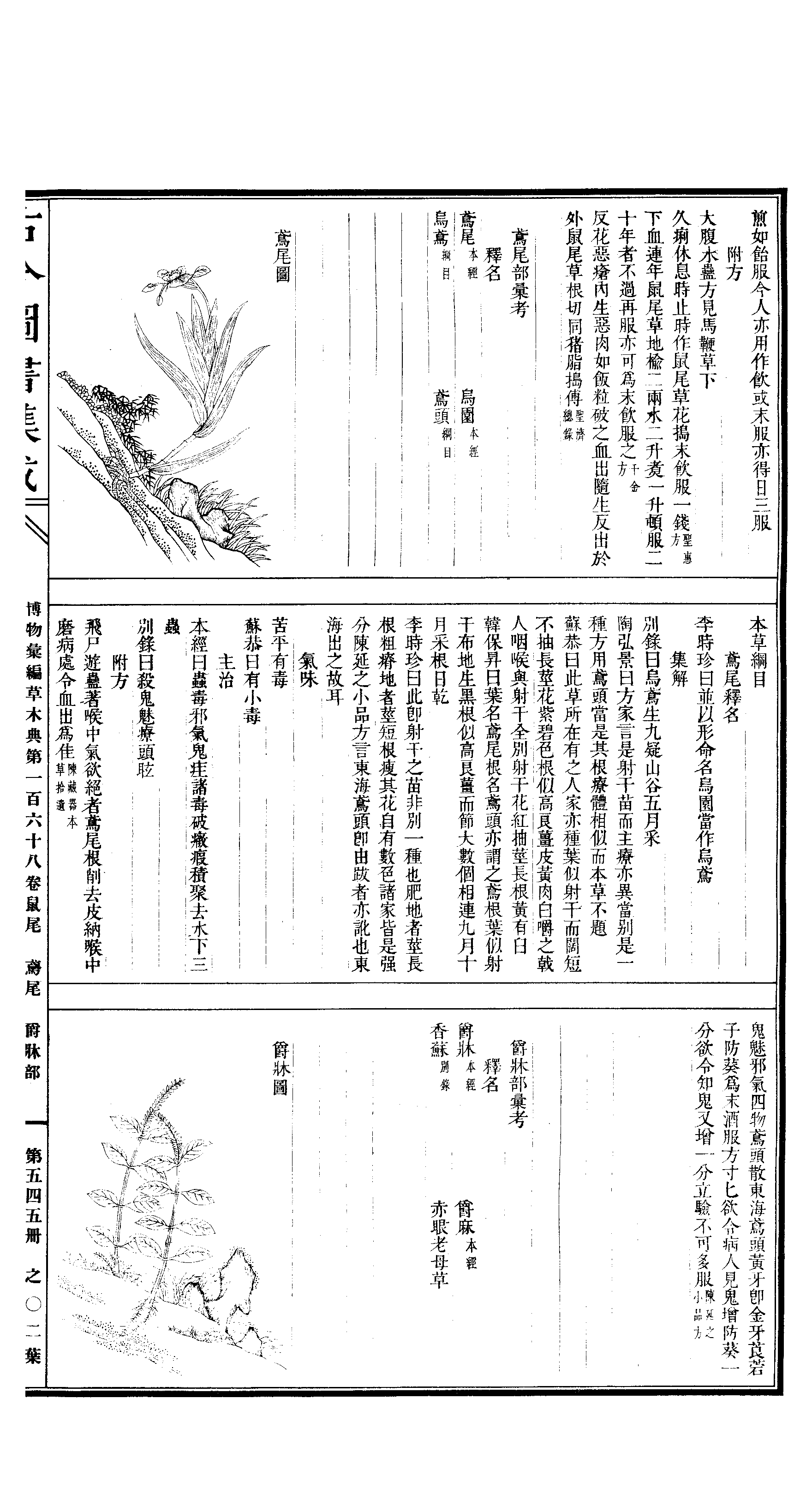 545 古今图书集成·博物汇编·草木典·卷一百六.pdf 第4页