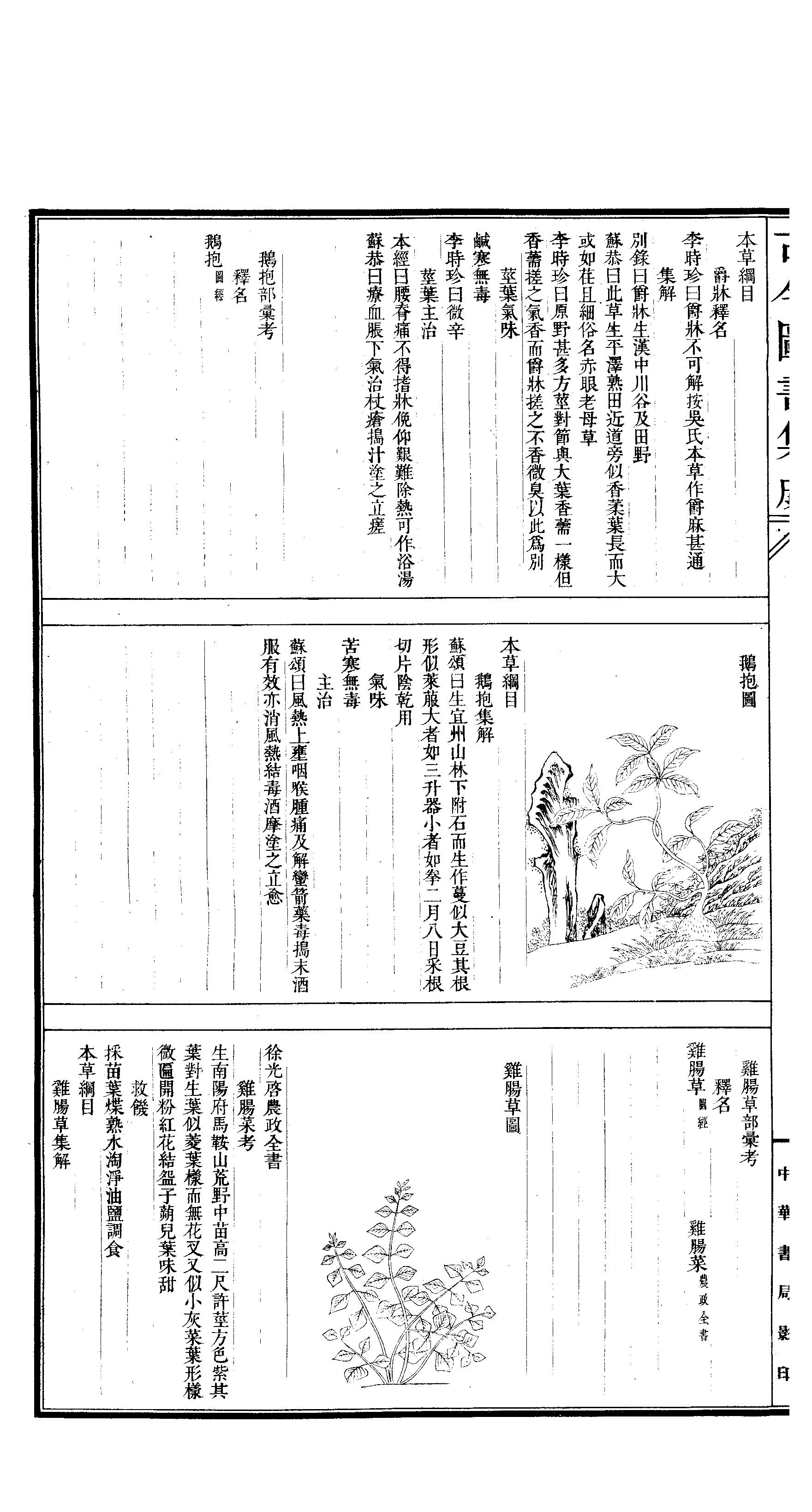 545 古今图书集成·博物汇编·草木典·卷一百六.pdf 第5页