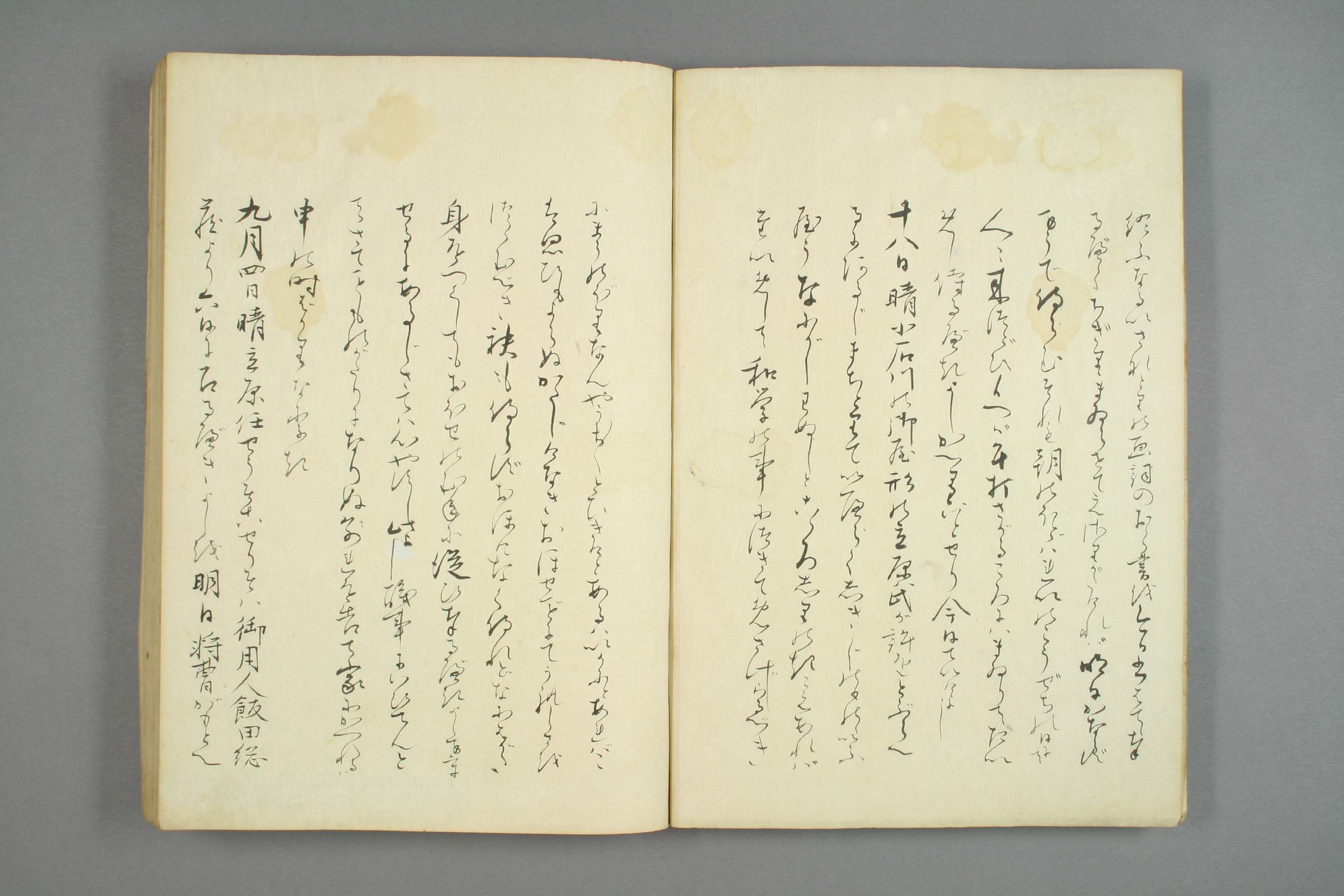 【日】倭学戴恩日记0001.pdf 第3页