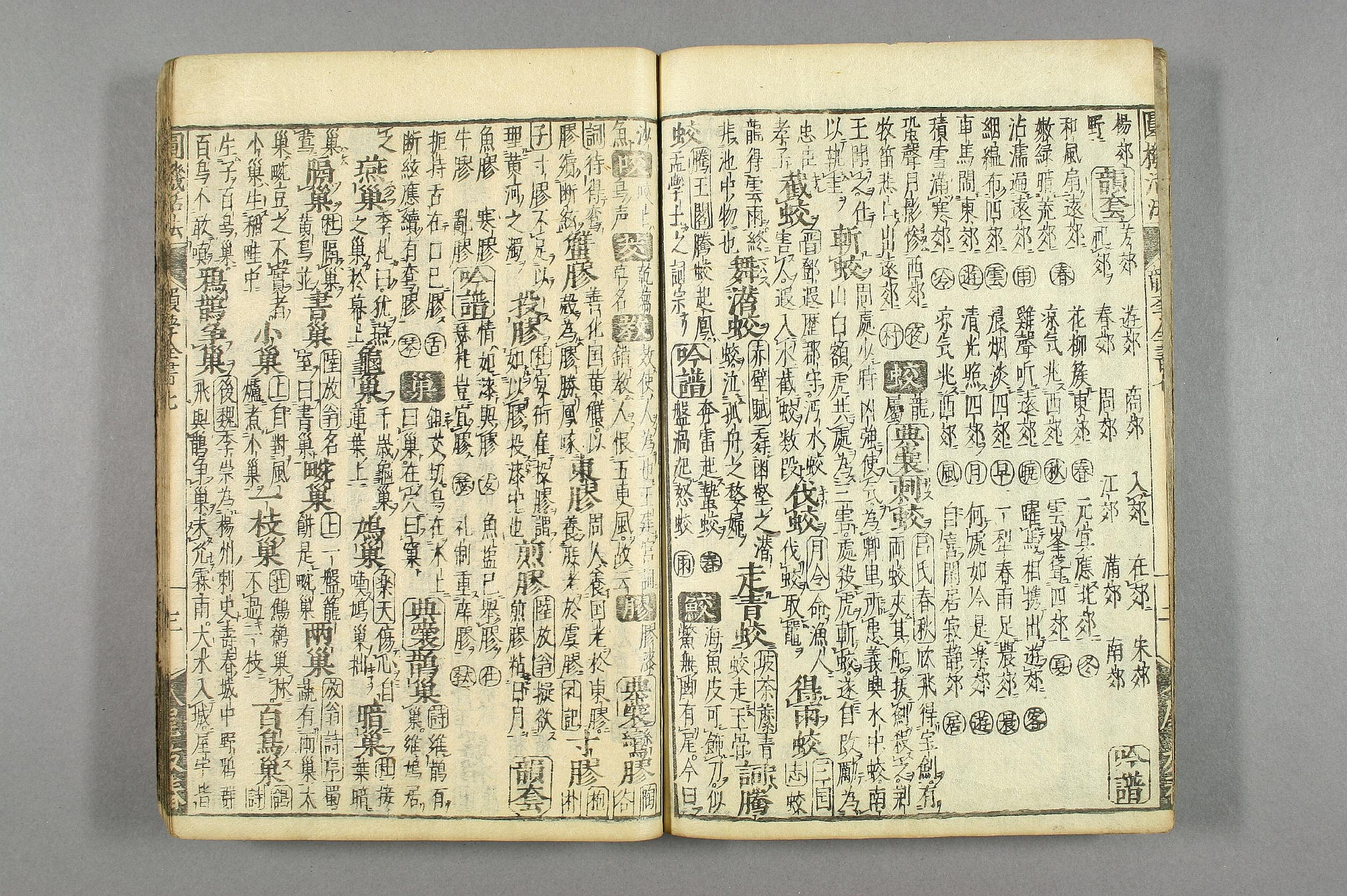 円機活法. 韻学_01049_0005.pdf 第4页