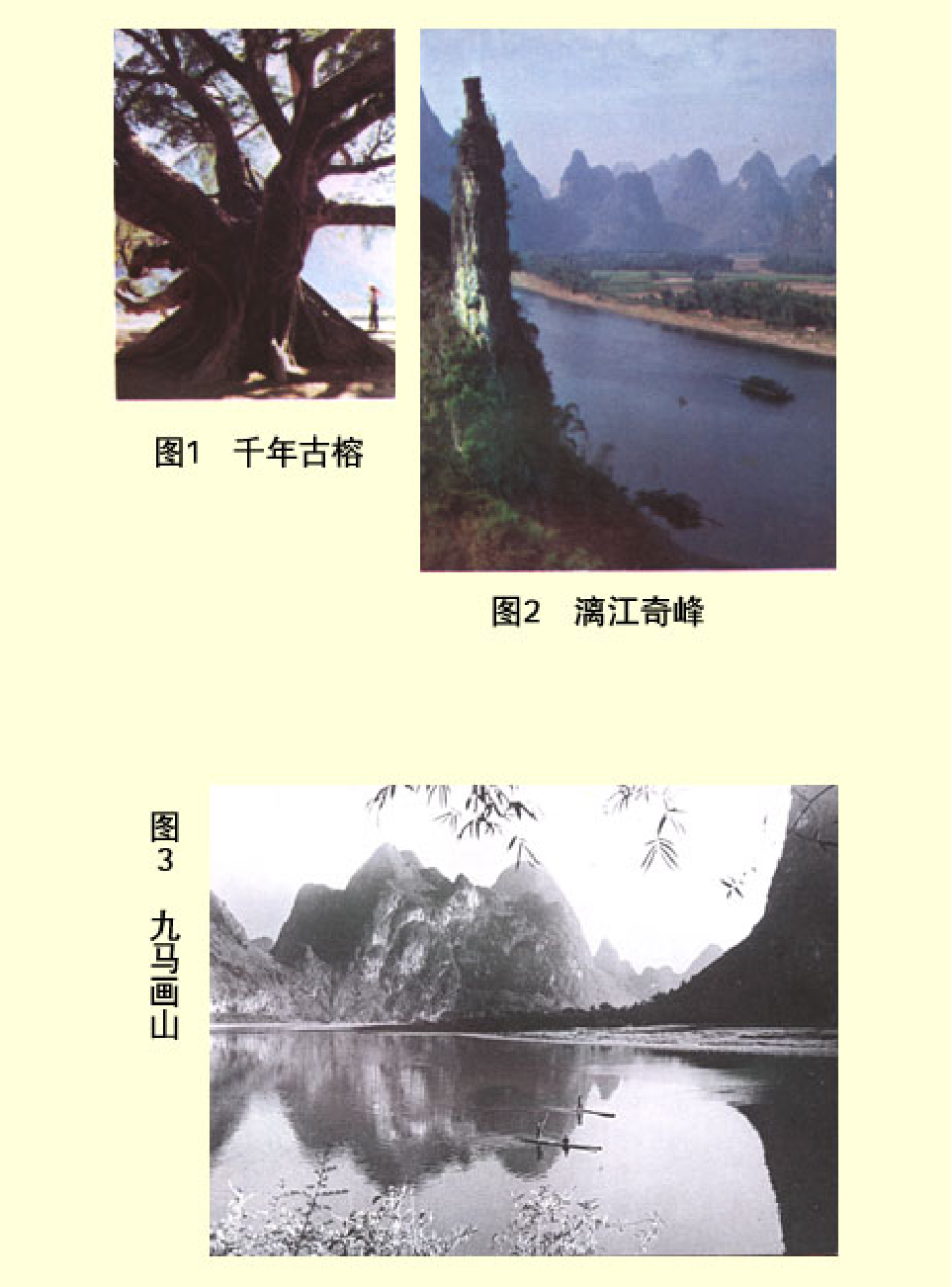 家庭生活与艺术p85.pdf 第2页
