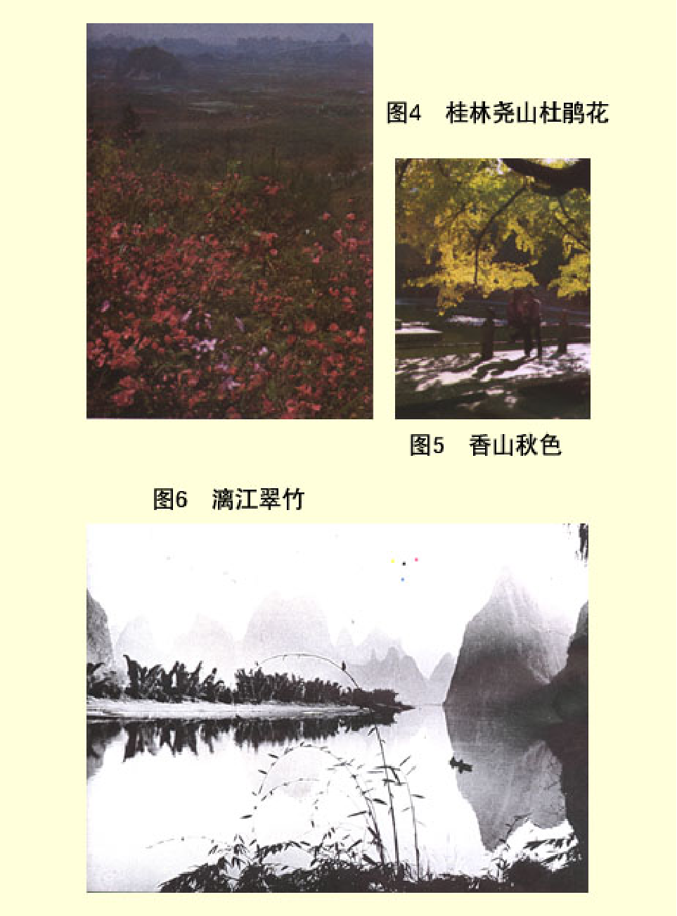 家庭生活与艺术p85.pdf 第3页