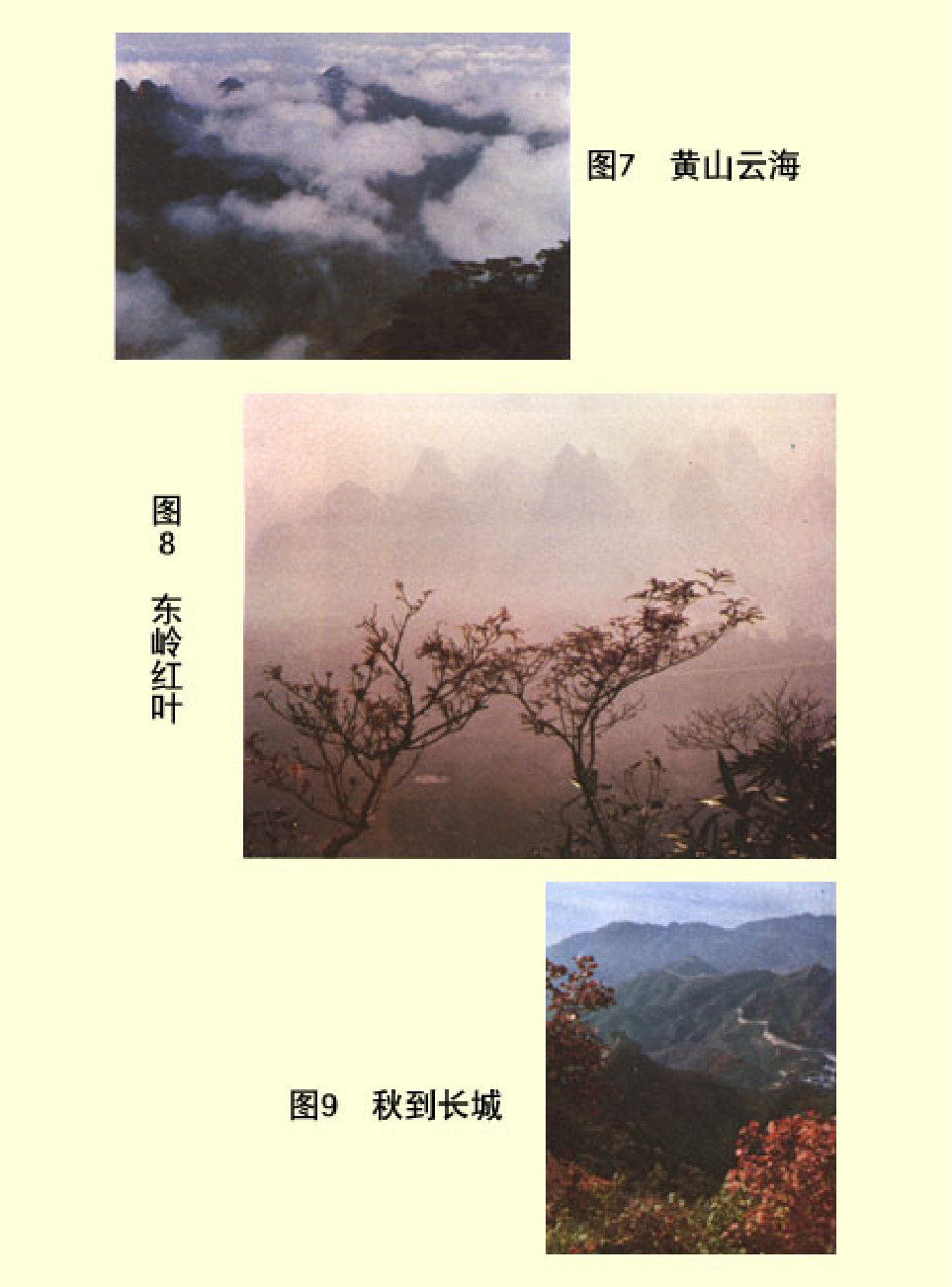 家庭生活与艺术p85.pdf 第4页