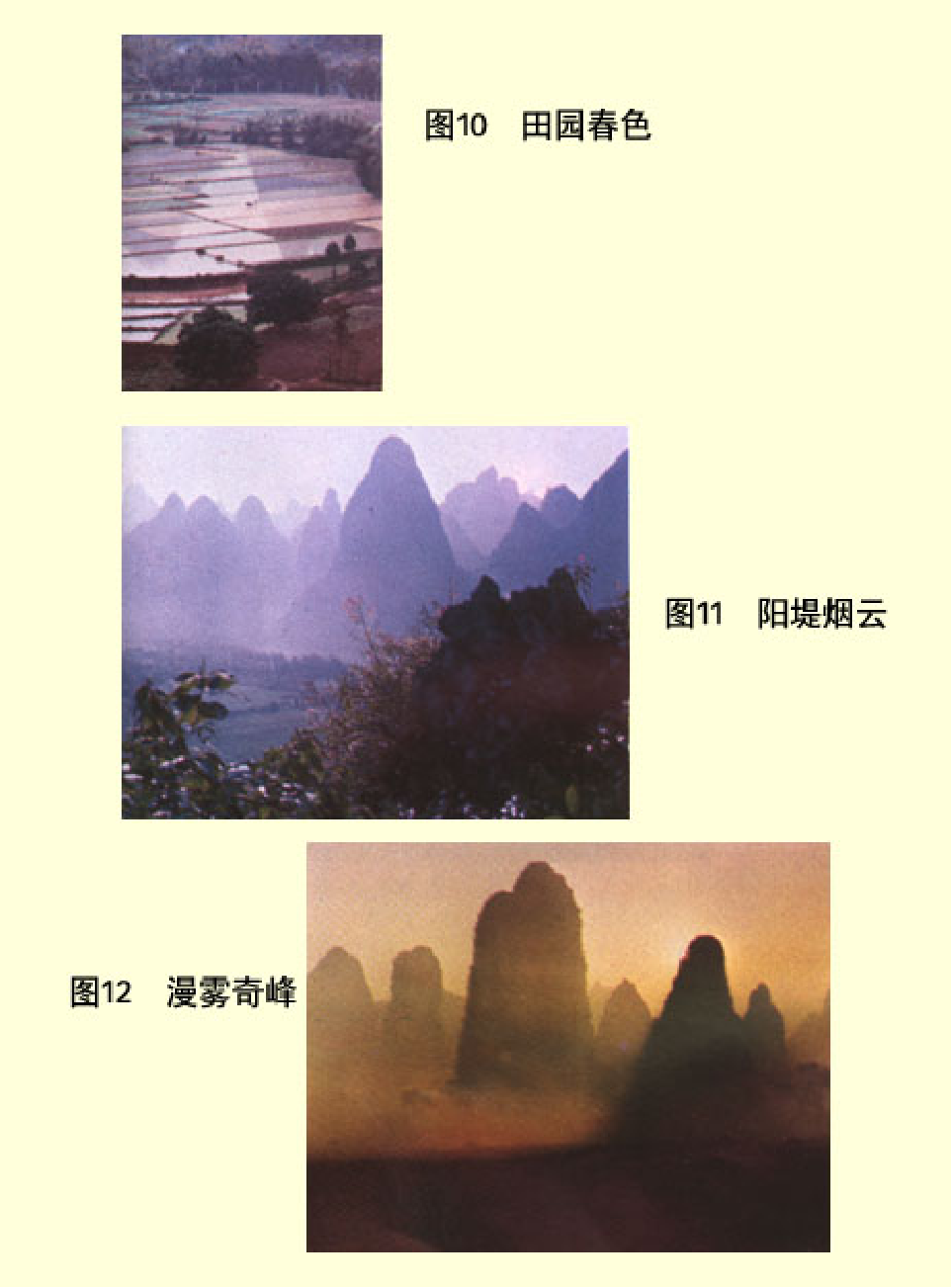 家庭生活与艺术p85.pdf 第5页