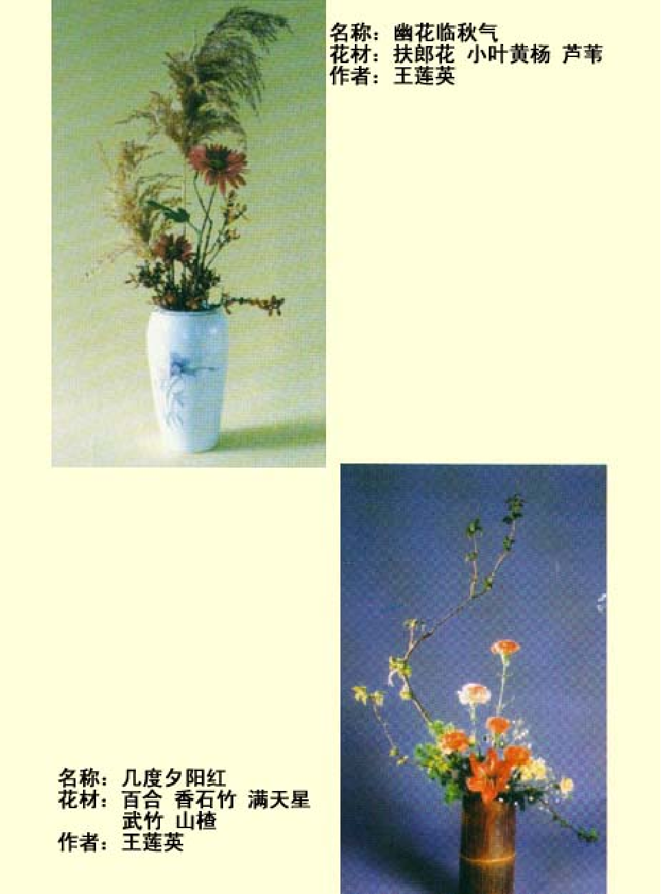 家庭生活与艺术p70.pdf 第5页