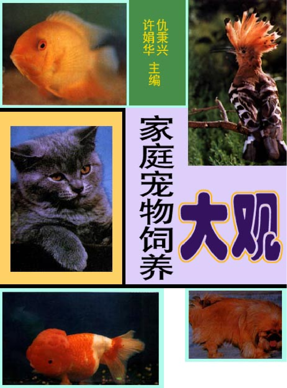 家庭生活与艺术E67.pdf 第1页