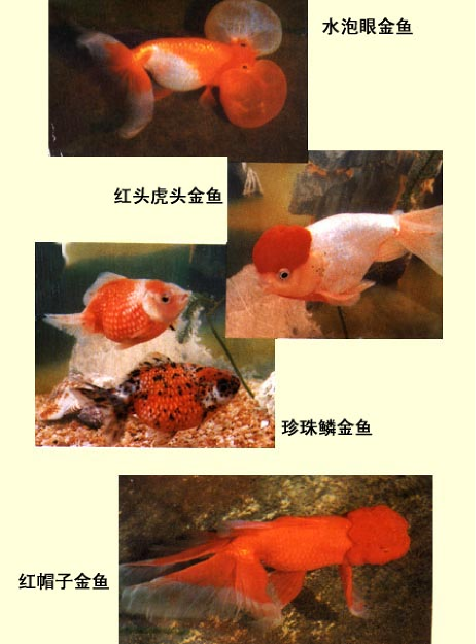 家庭生活与艺术E67.pdf 第2页