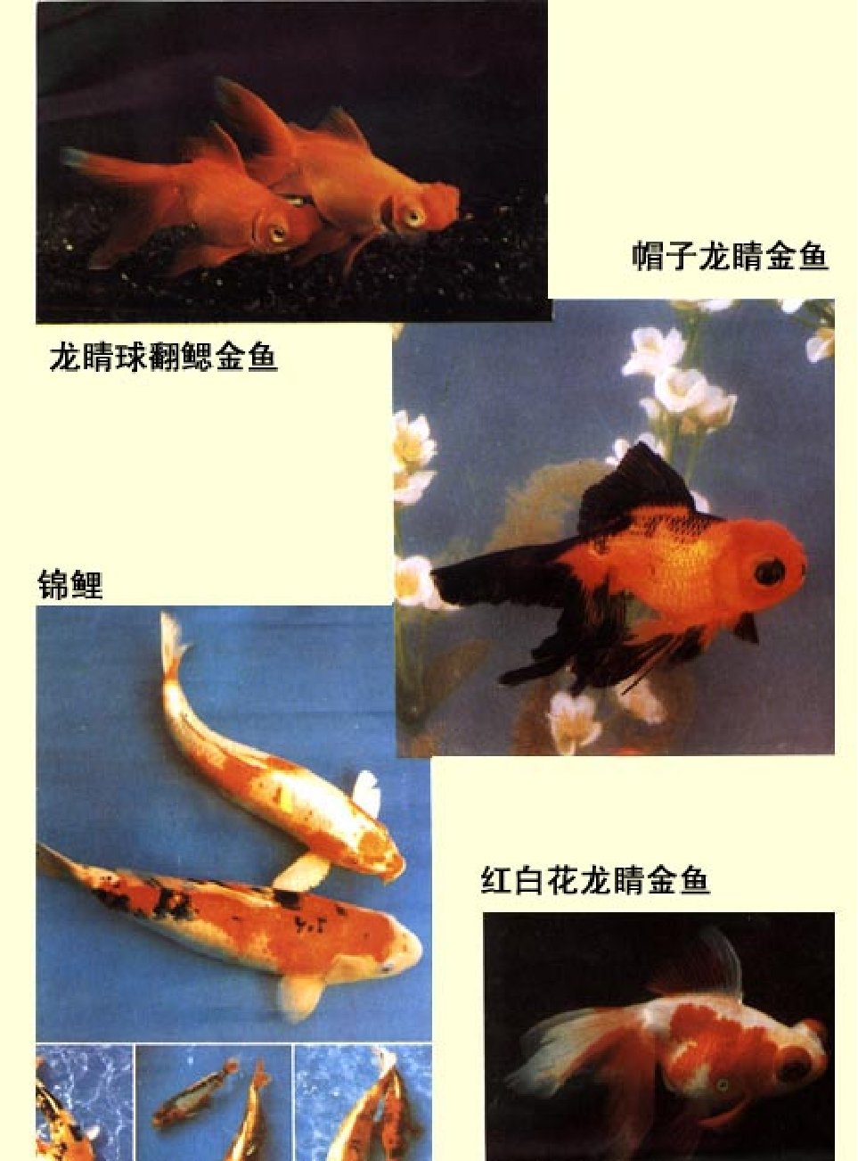 家庭生活与艺术E67.pdf 第3页