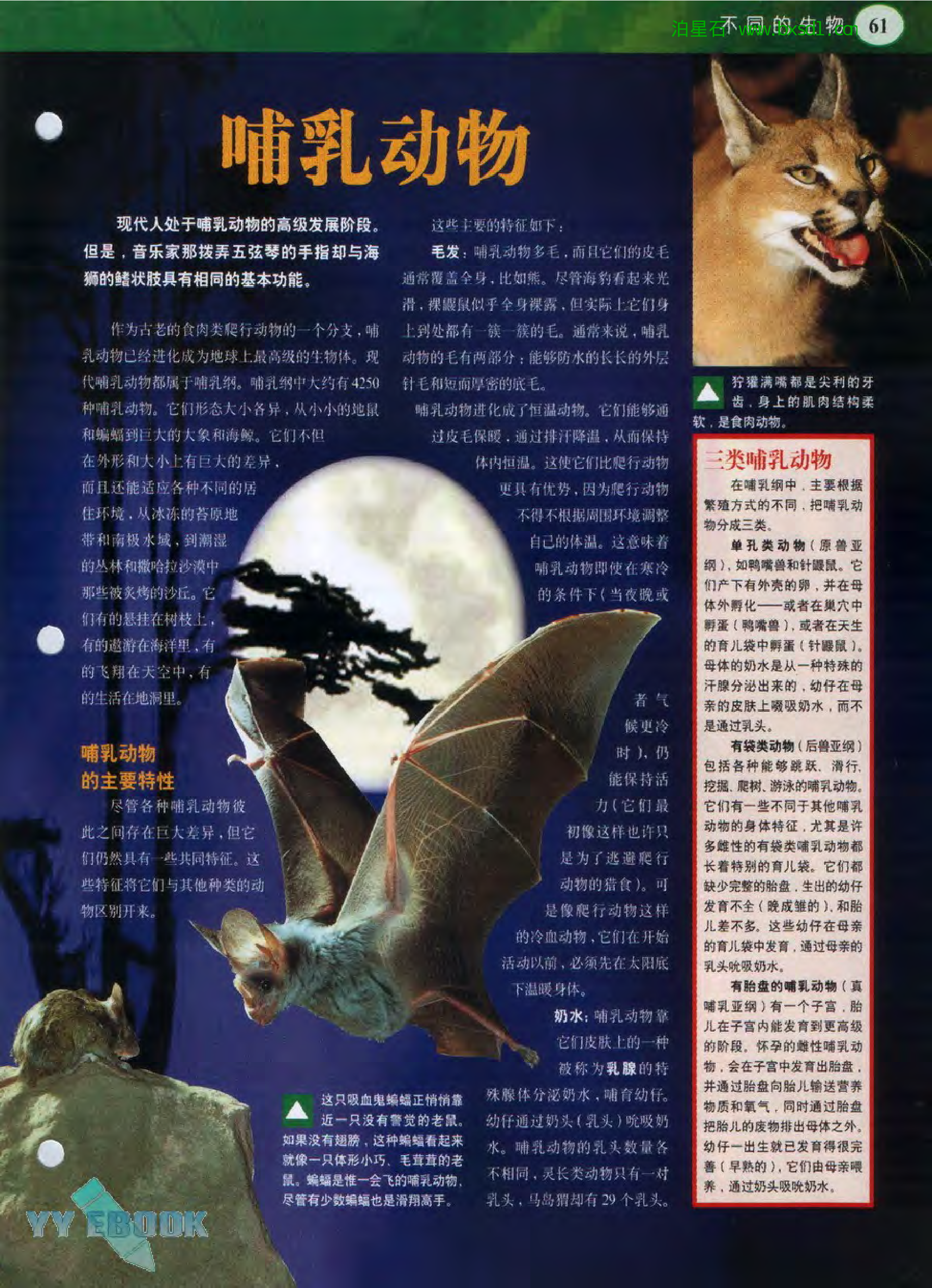 发现之旅--家庭趣味图解百科丛书23.pdf 第3页