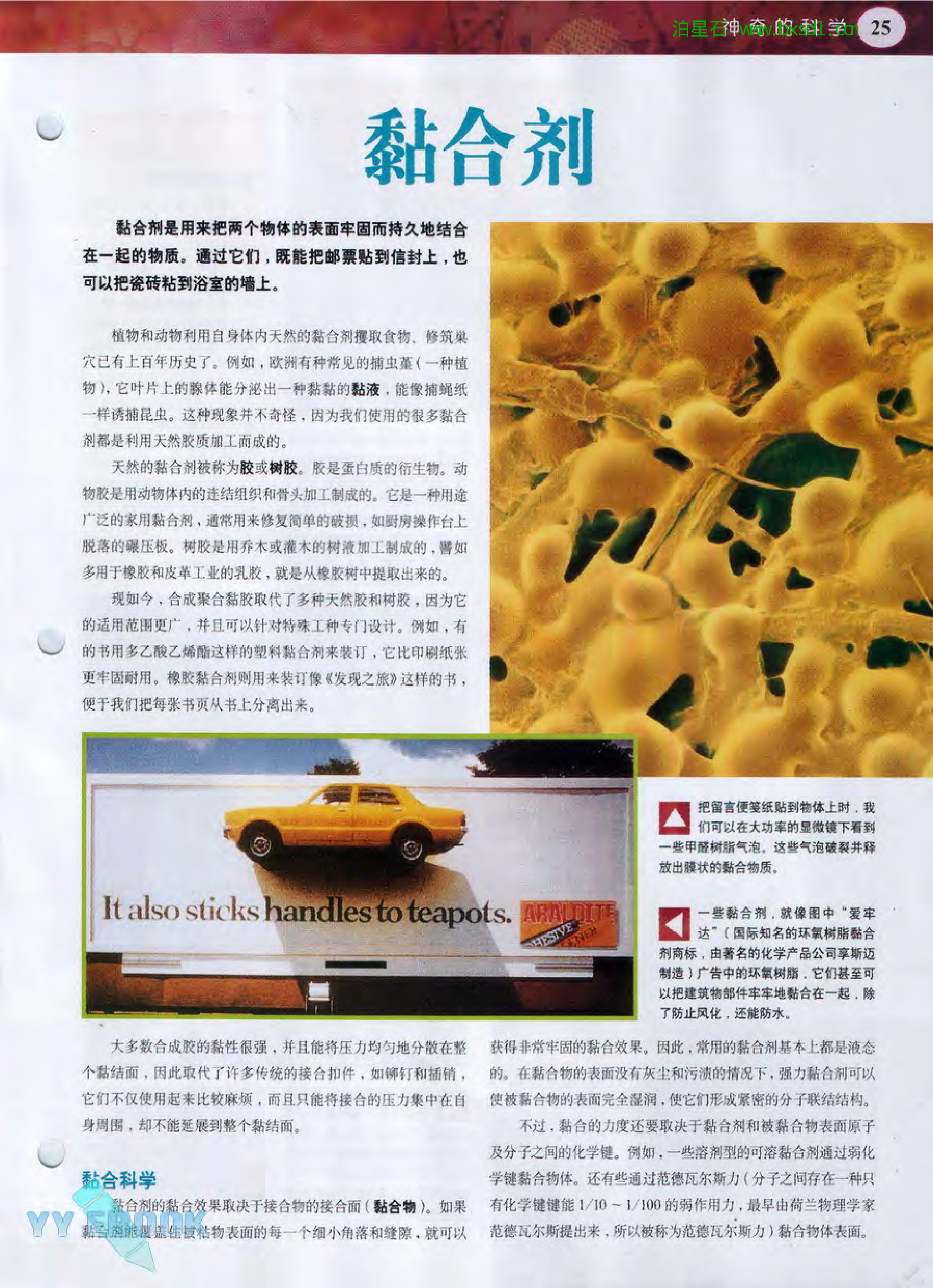 发现之旅--家庭趣味图解百科丛书23.pdf 第5页