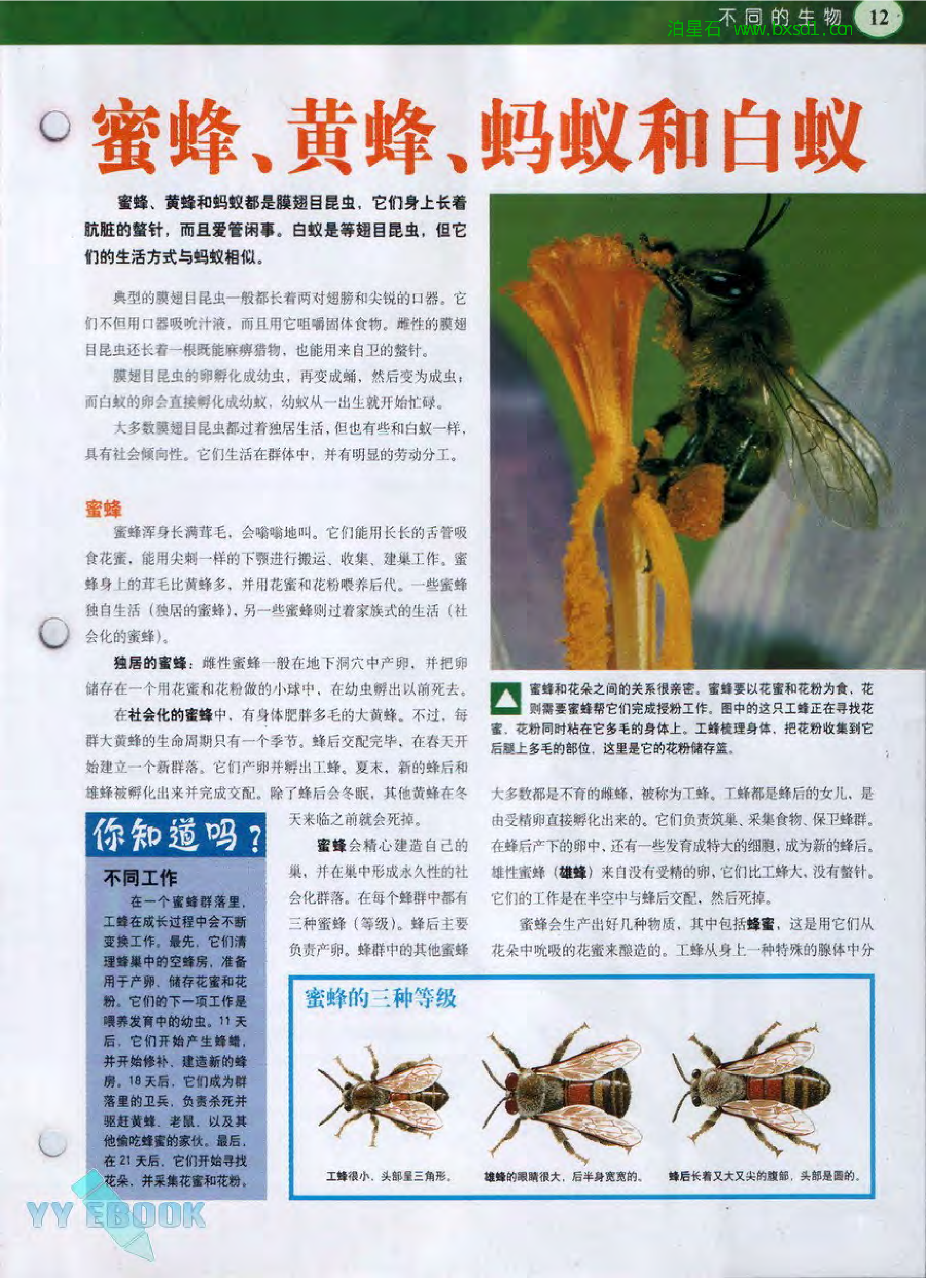 发现之旅--家庭趣味图解百科丛书22.pdf 第3页