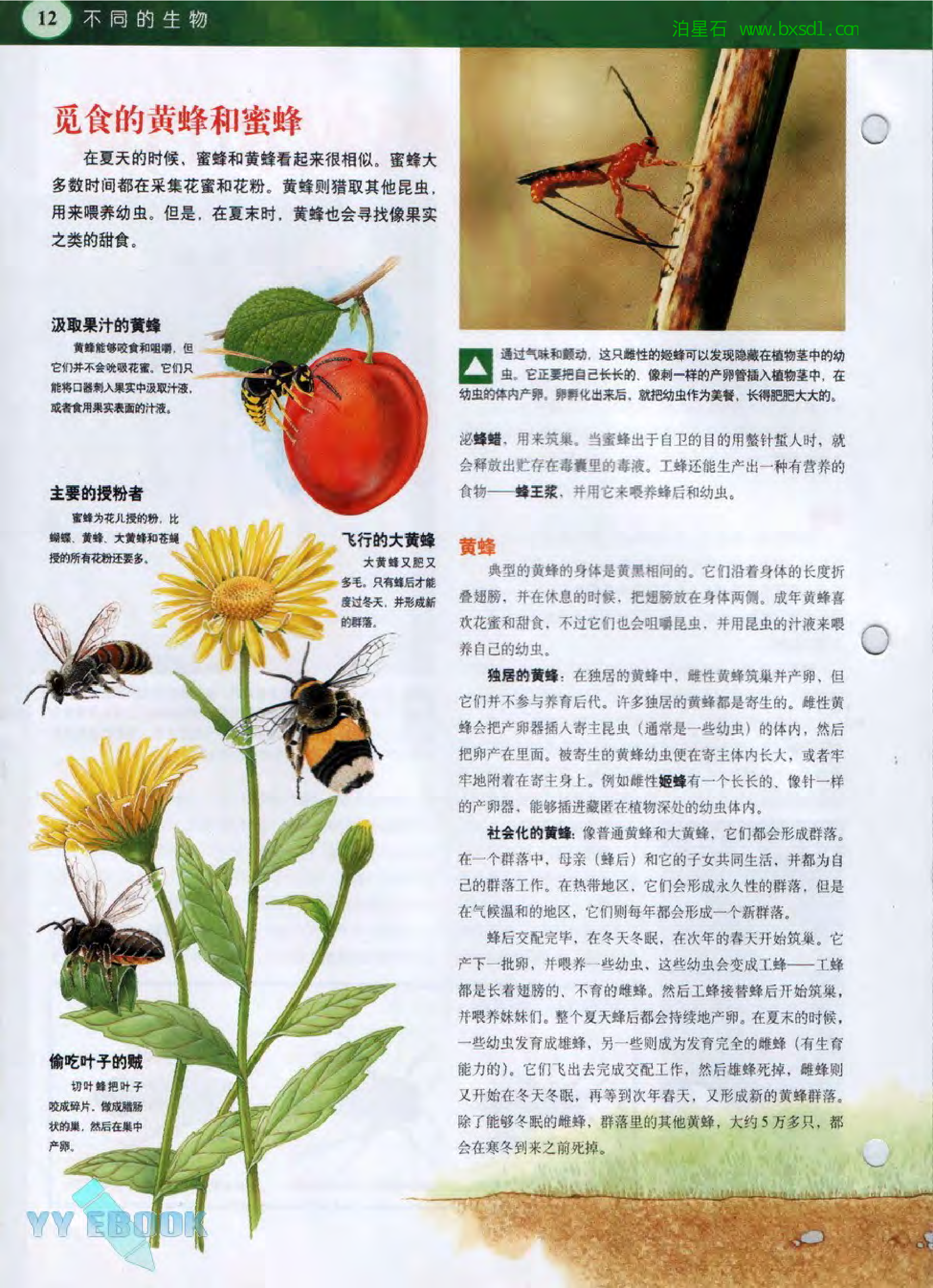 发现之旅--家庭趣味图解百科丛书22.pdf 第4页