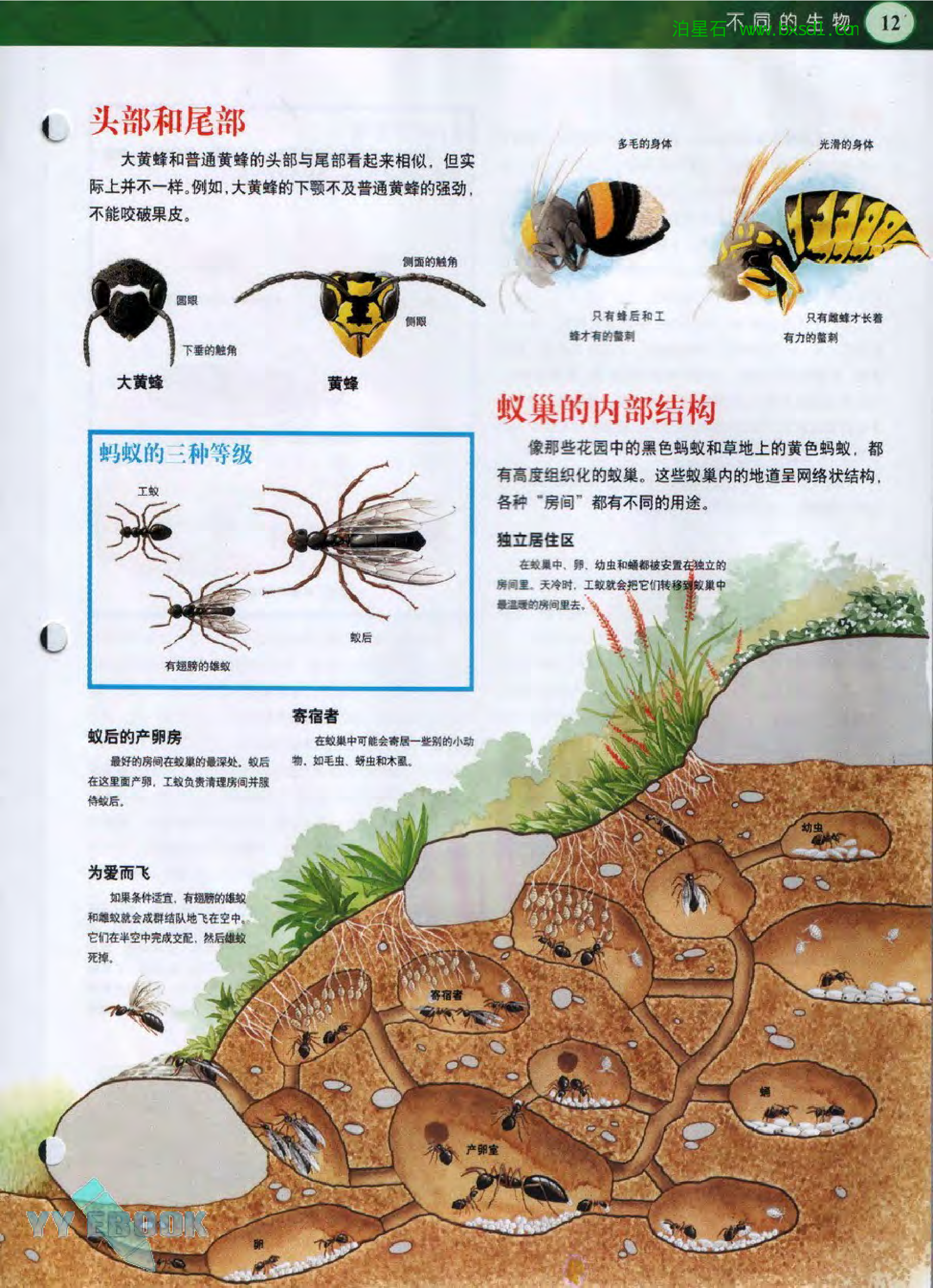 发现之旅--家庭趣味图解百科丛书22.pdf 第5页