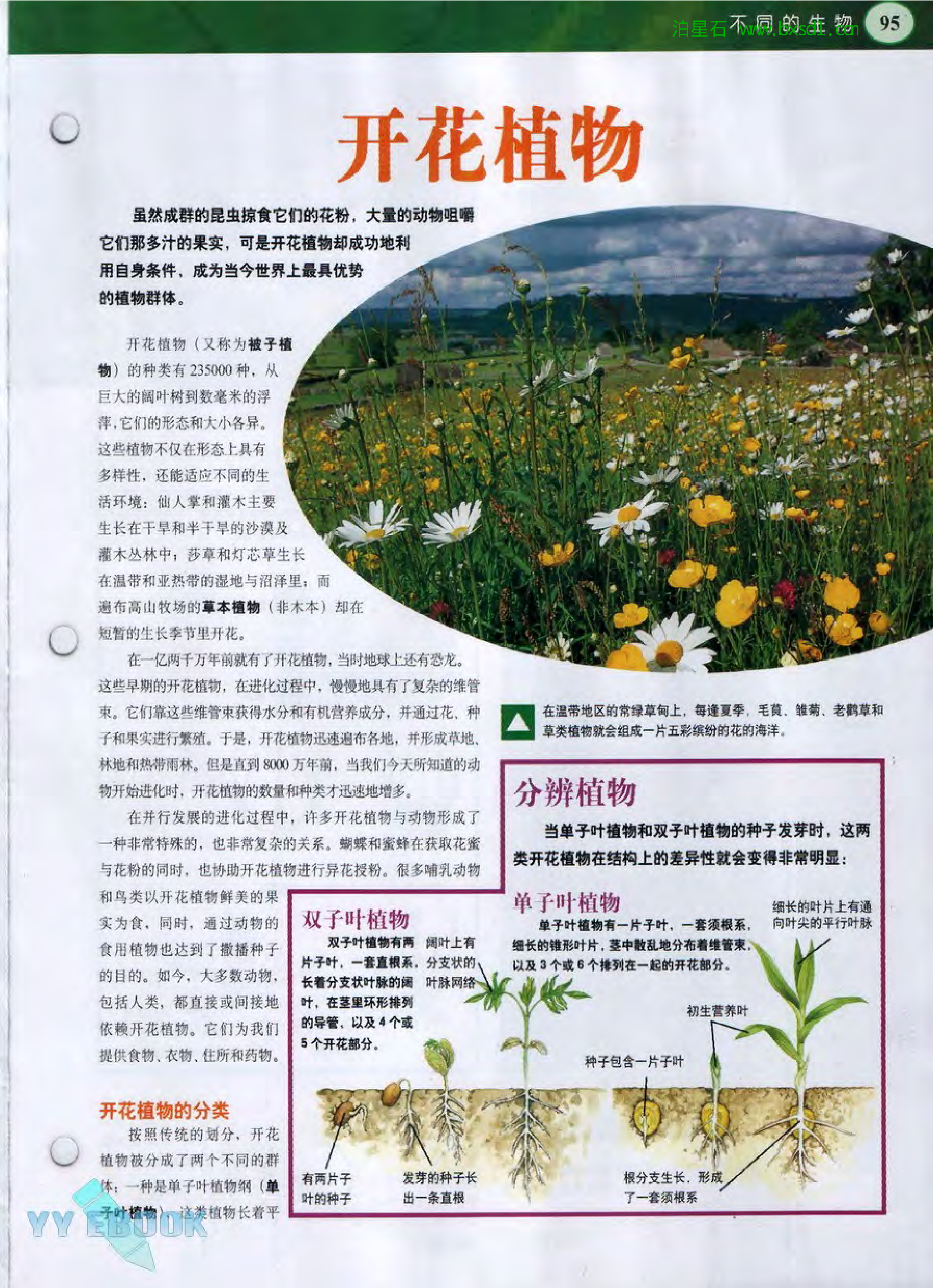 发现之旅--家庭趣味图解百科丛书20.pdf 第3页