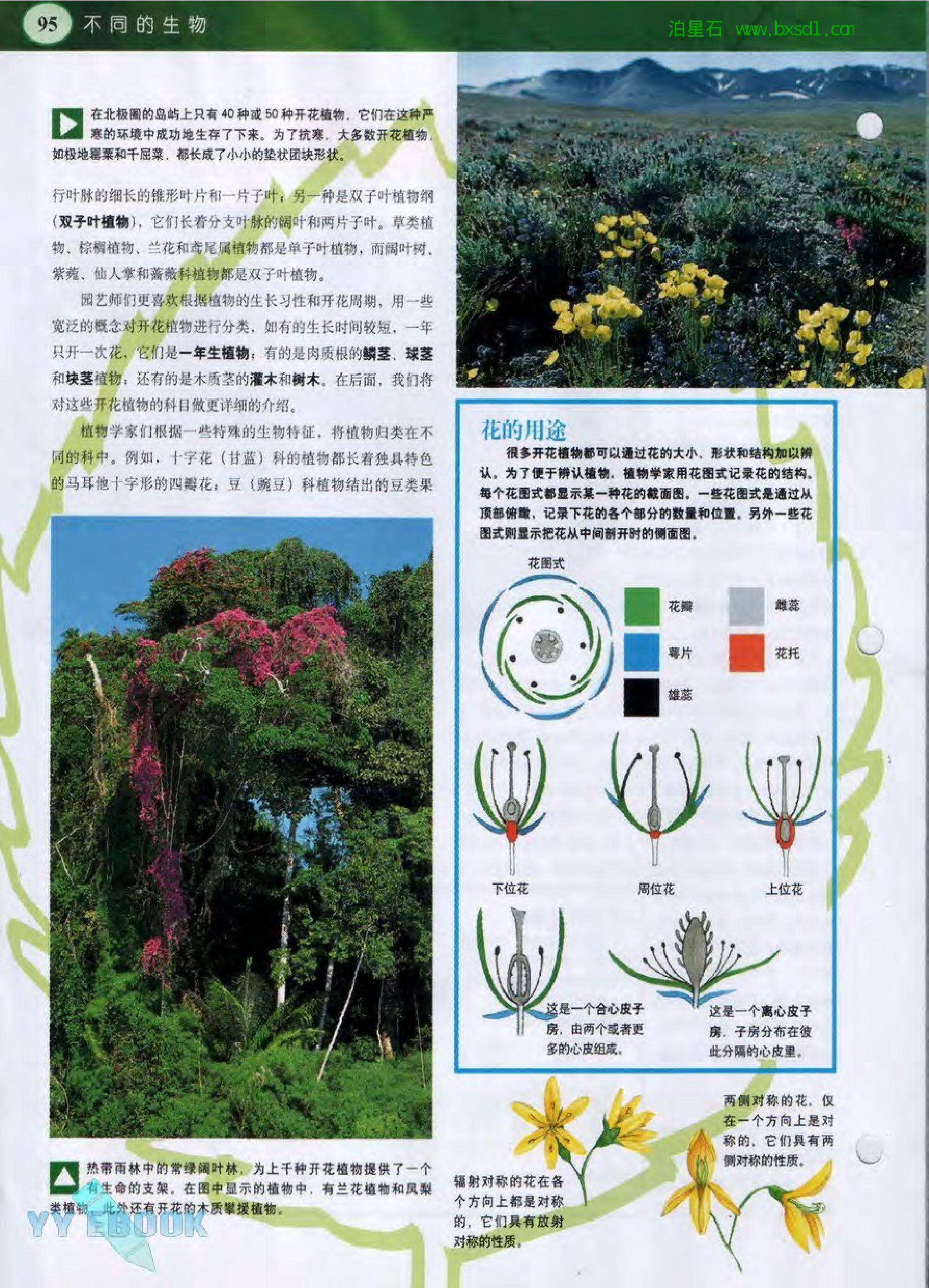 发现之旅--家庭趣味图解百科丛书20.pdf 第4页