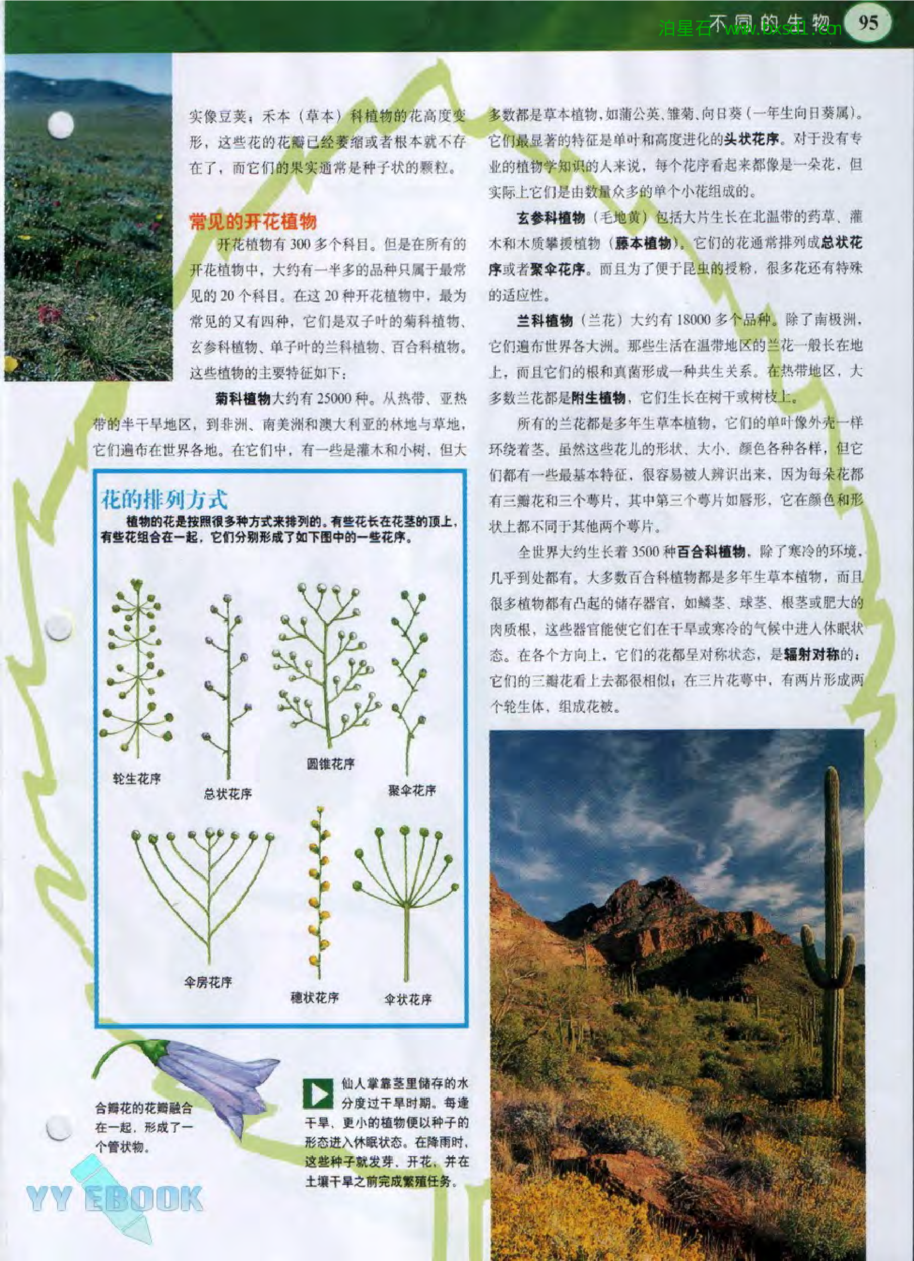 发现之旅--家庭趣味图解百科丛书20.pdf 第5页