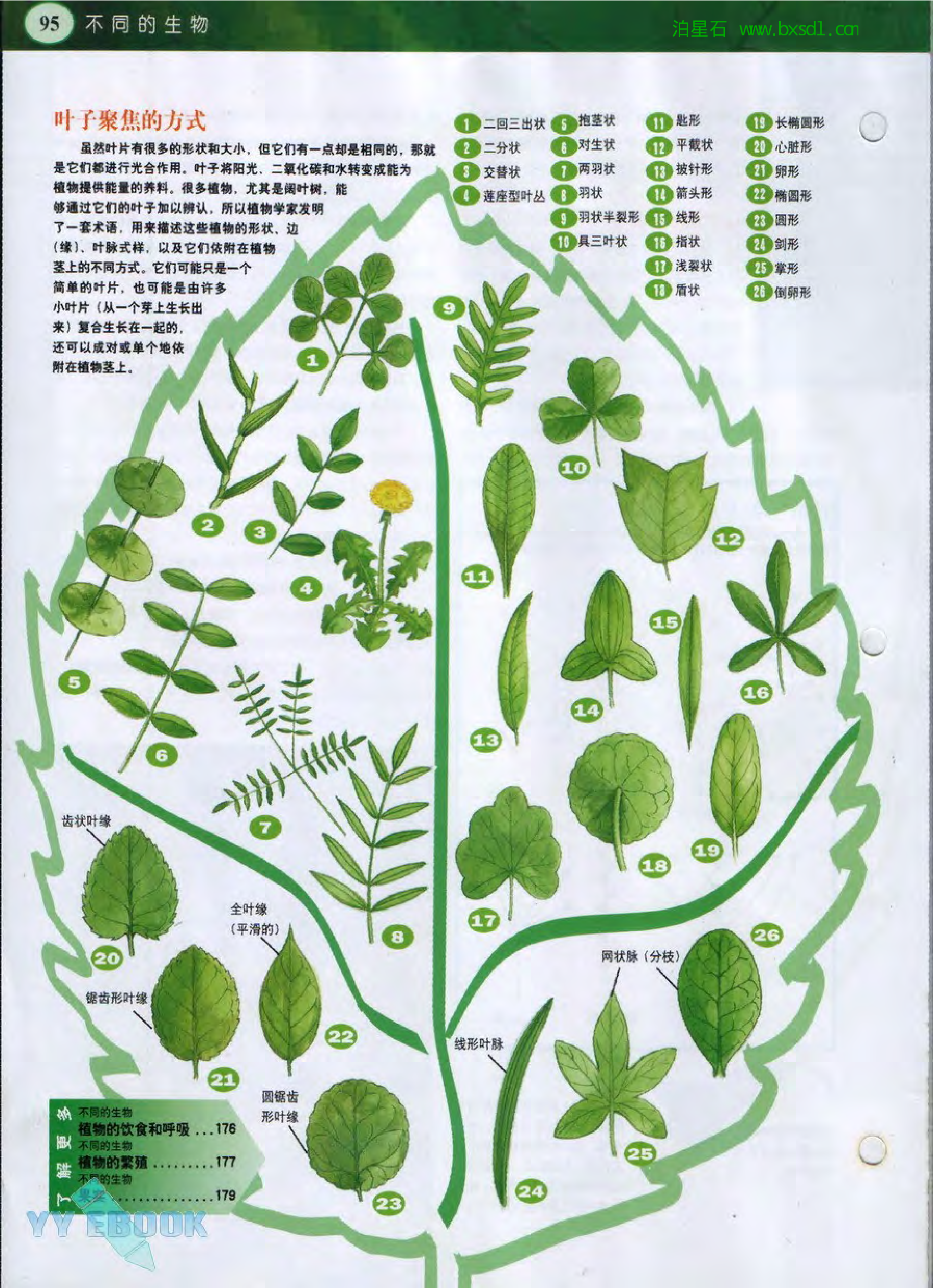 发现之旅--家庭趣味图解百科丛书20.pdf 第6页