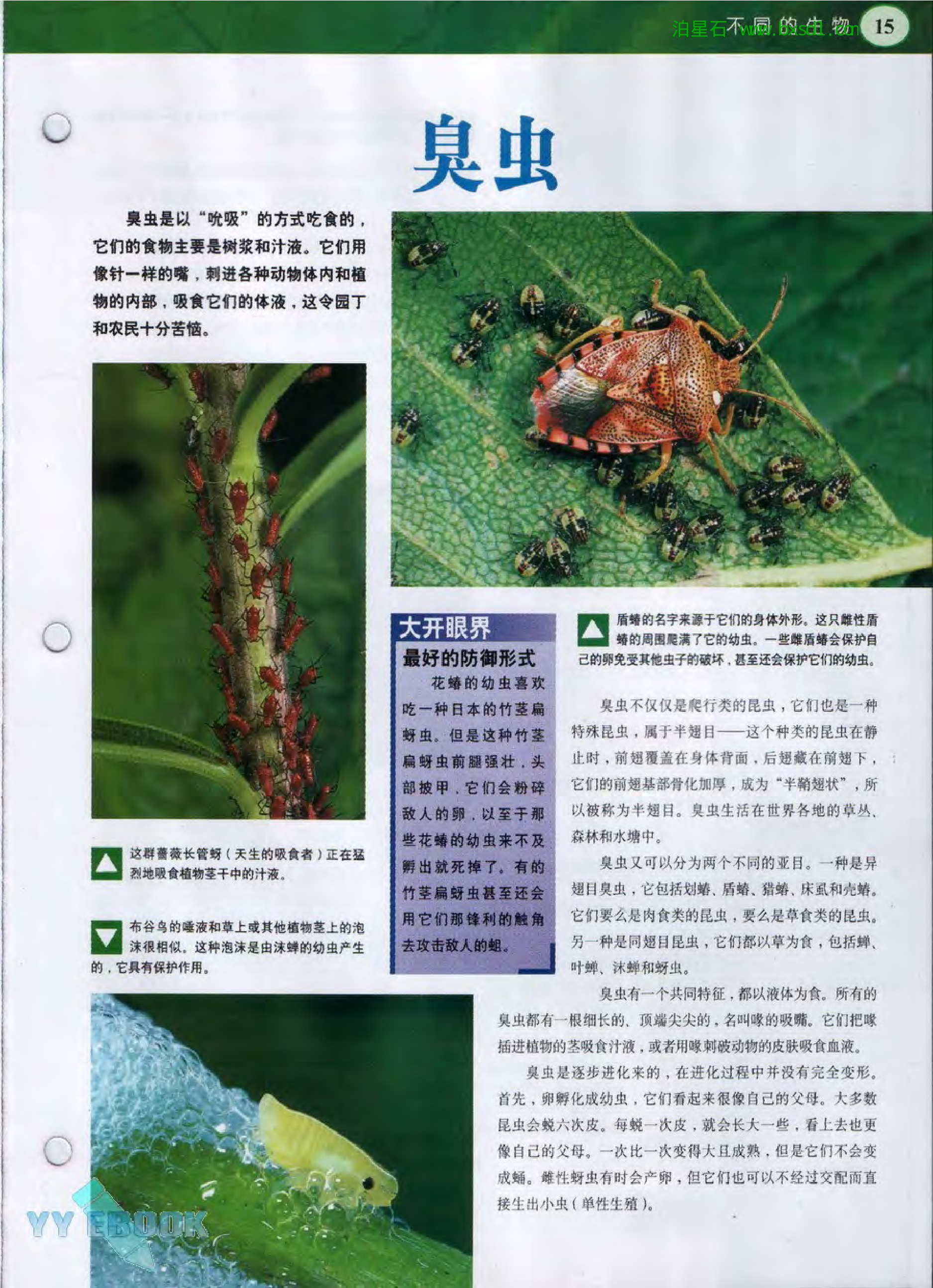 发现之旅--家庭趣味图解百科丛书19.pdf 第3页