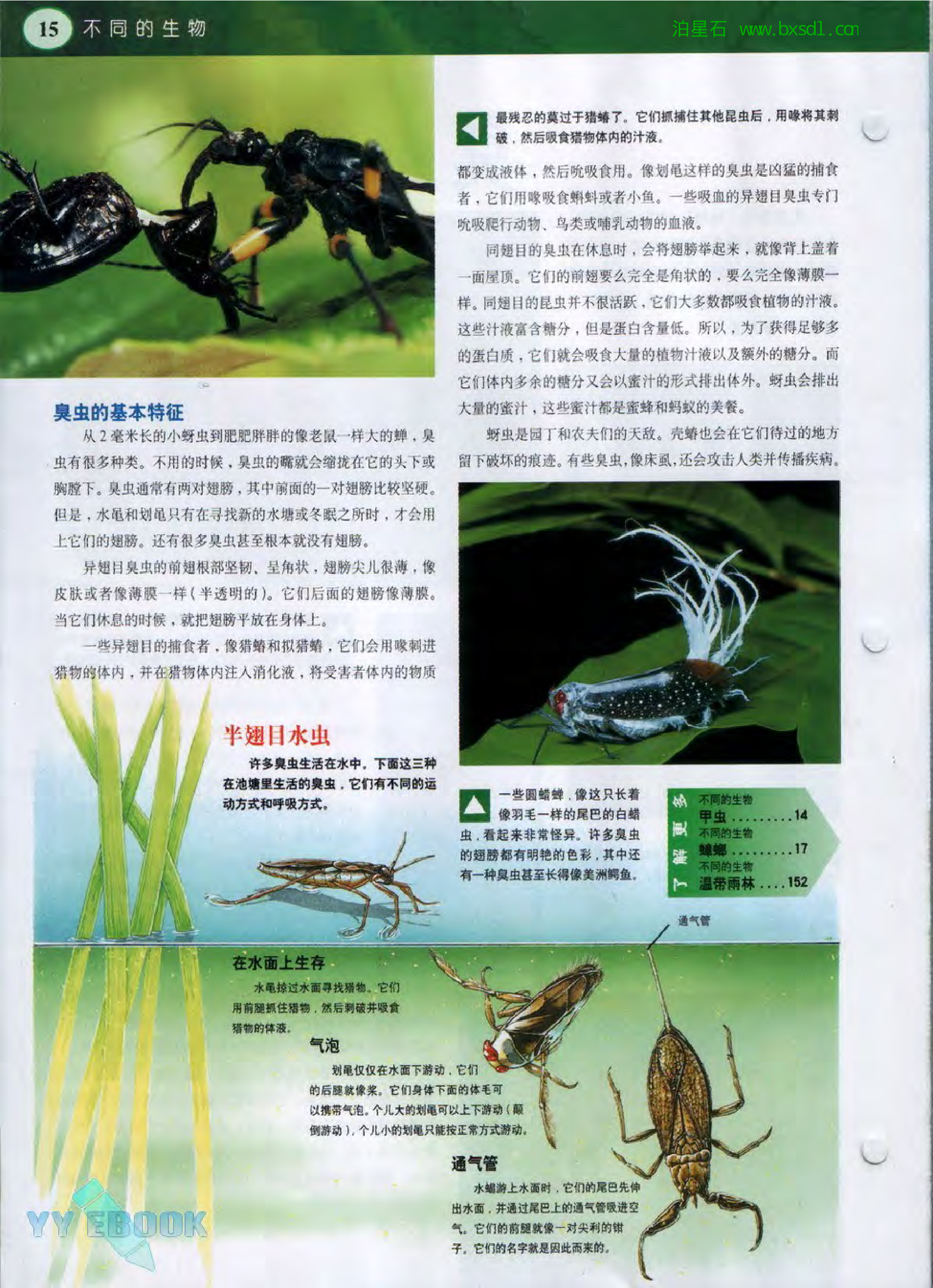 发现之旅--家庭趣味图解百科丛书19.pdf 第4页