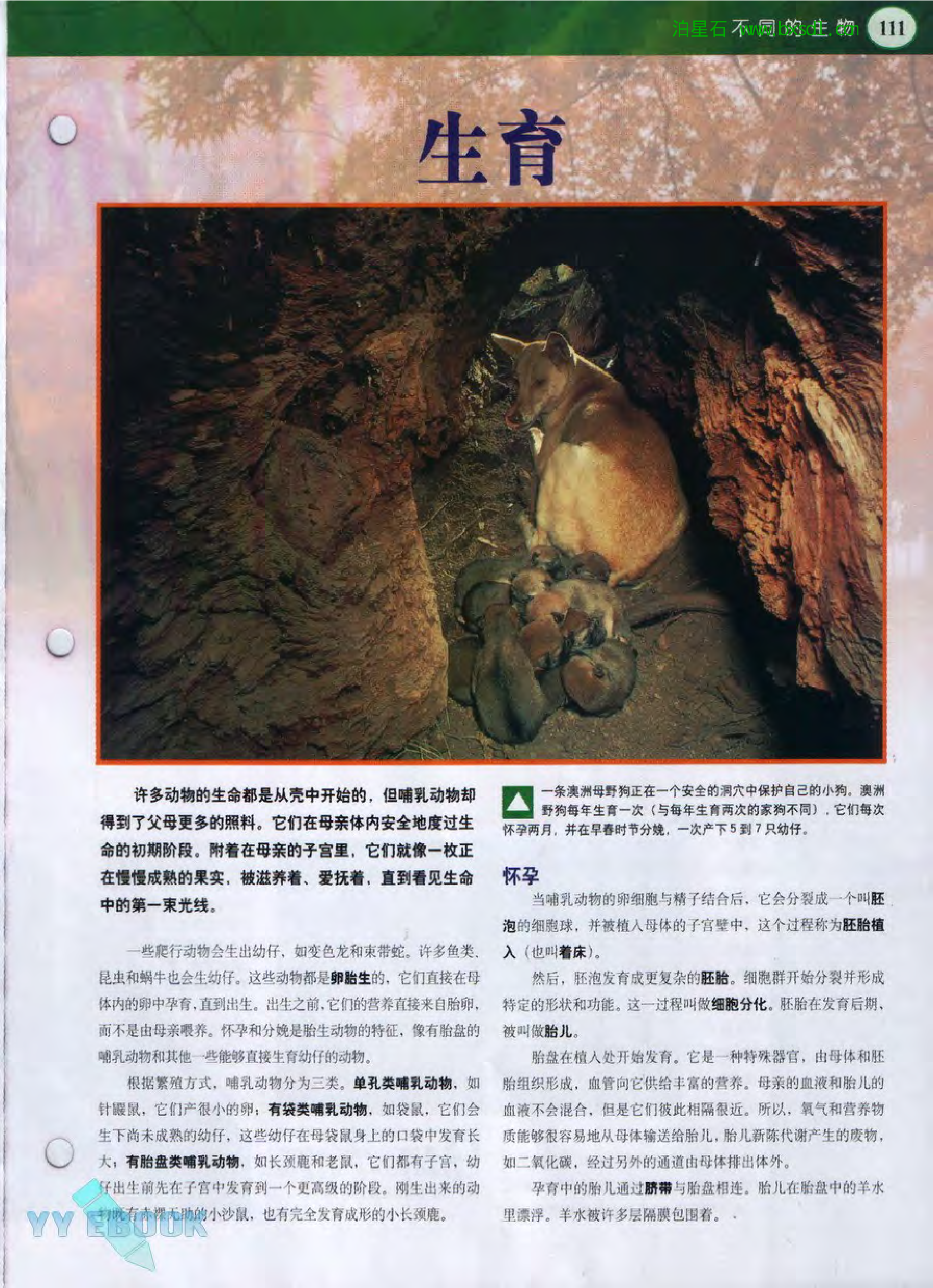 发现之旅--家庭趣味图解百科丛书18.pdf 第3页