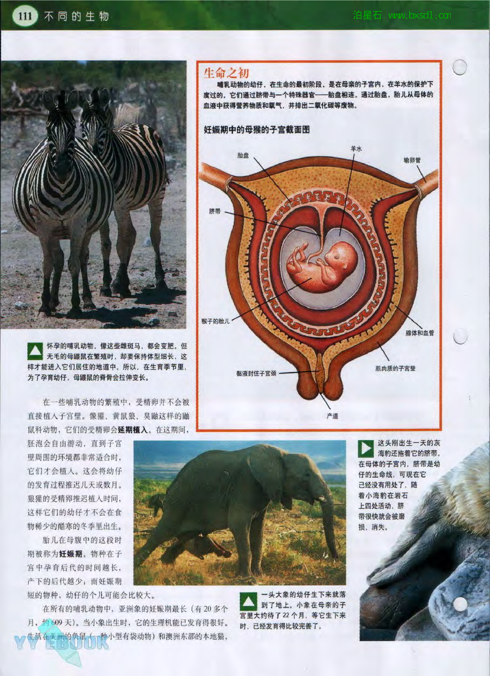 发现之旅--家庭趣味图解百科丛书18.pdf 第4页