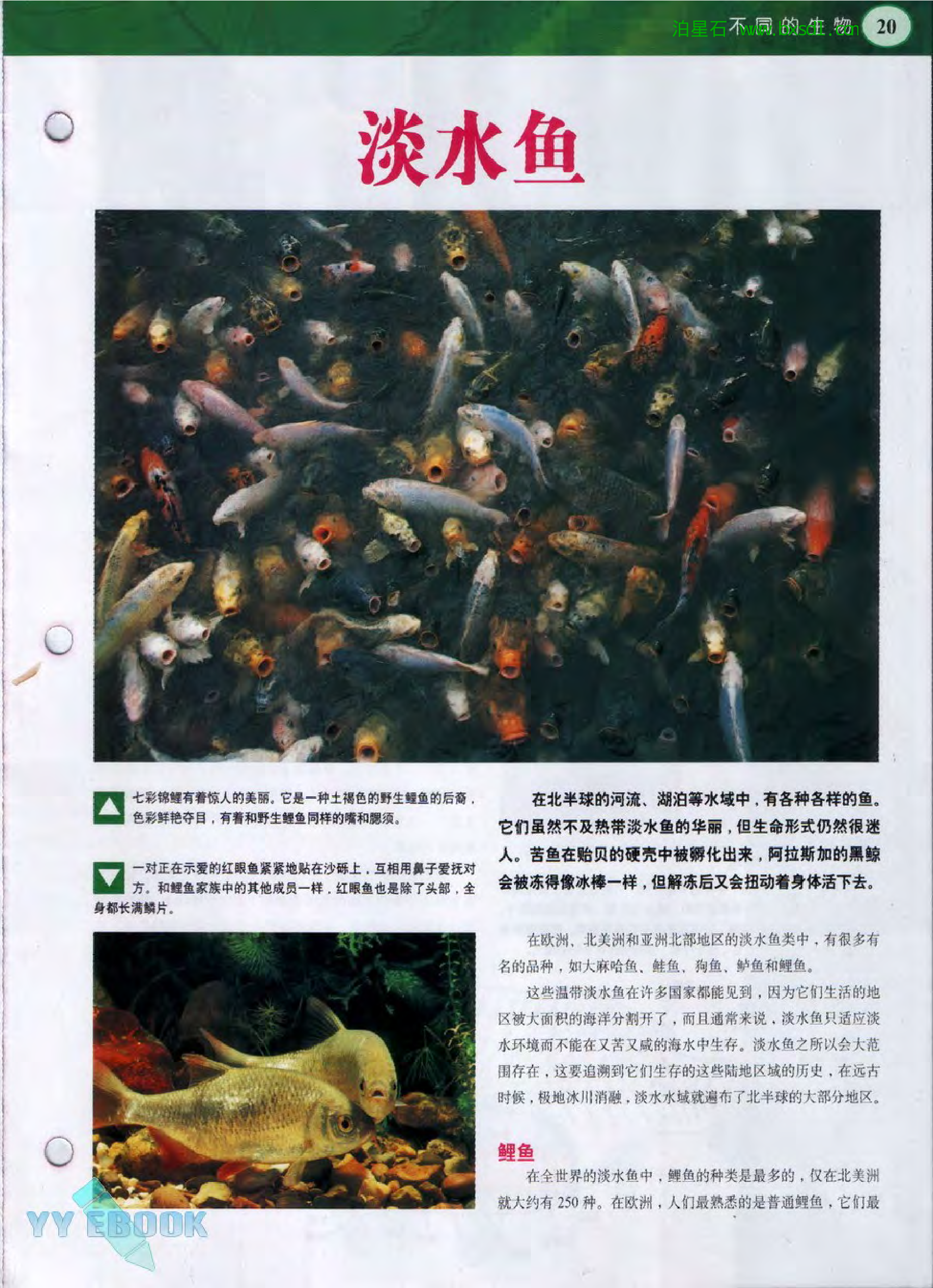 发现之旅--家庭趣味图解百科丛书17.pdf 第3页