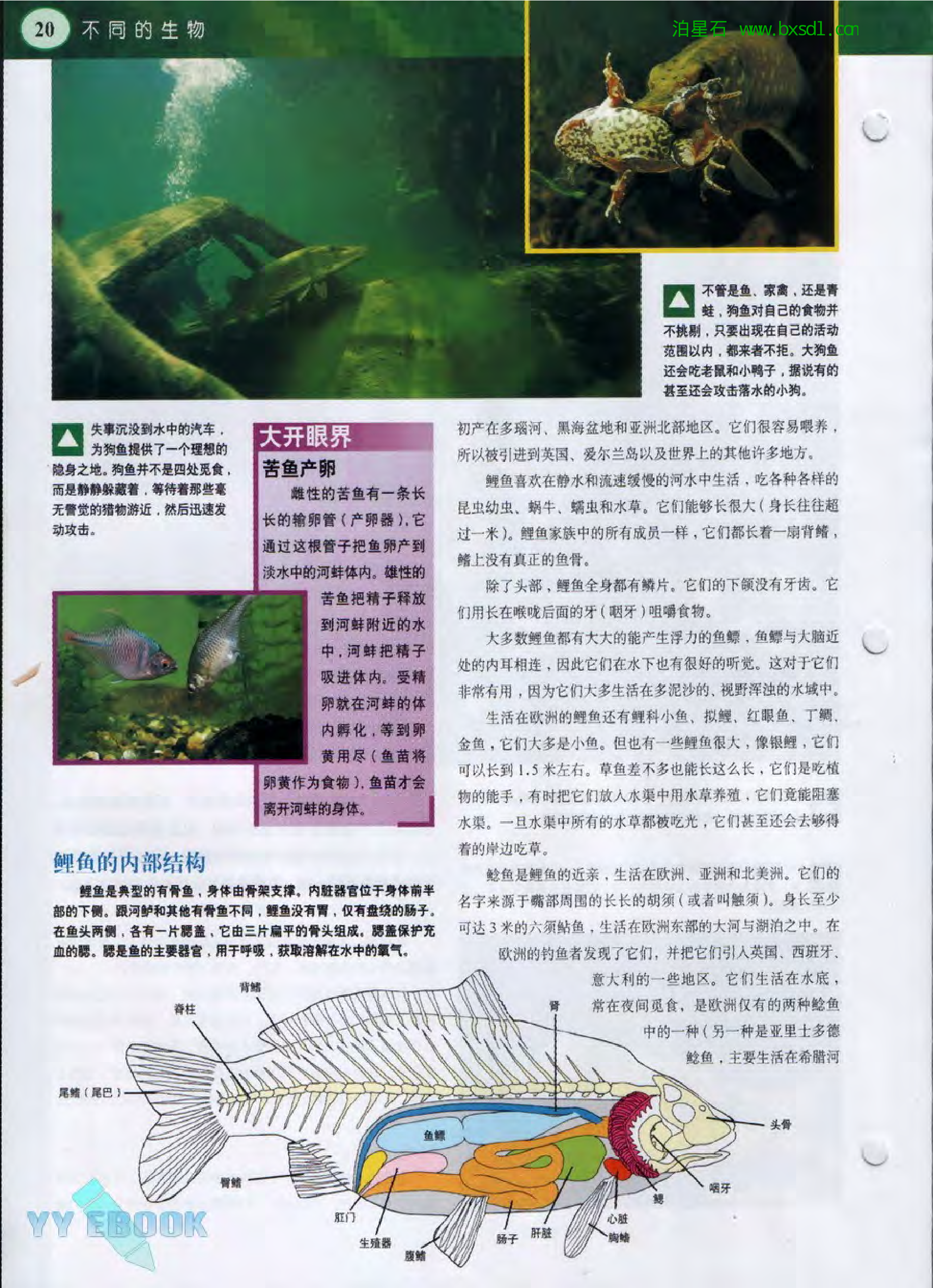 发现之旅--家庭趣味图解百科丛书17.pdf 第4页