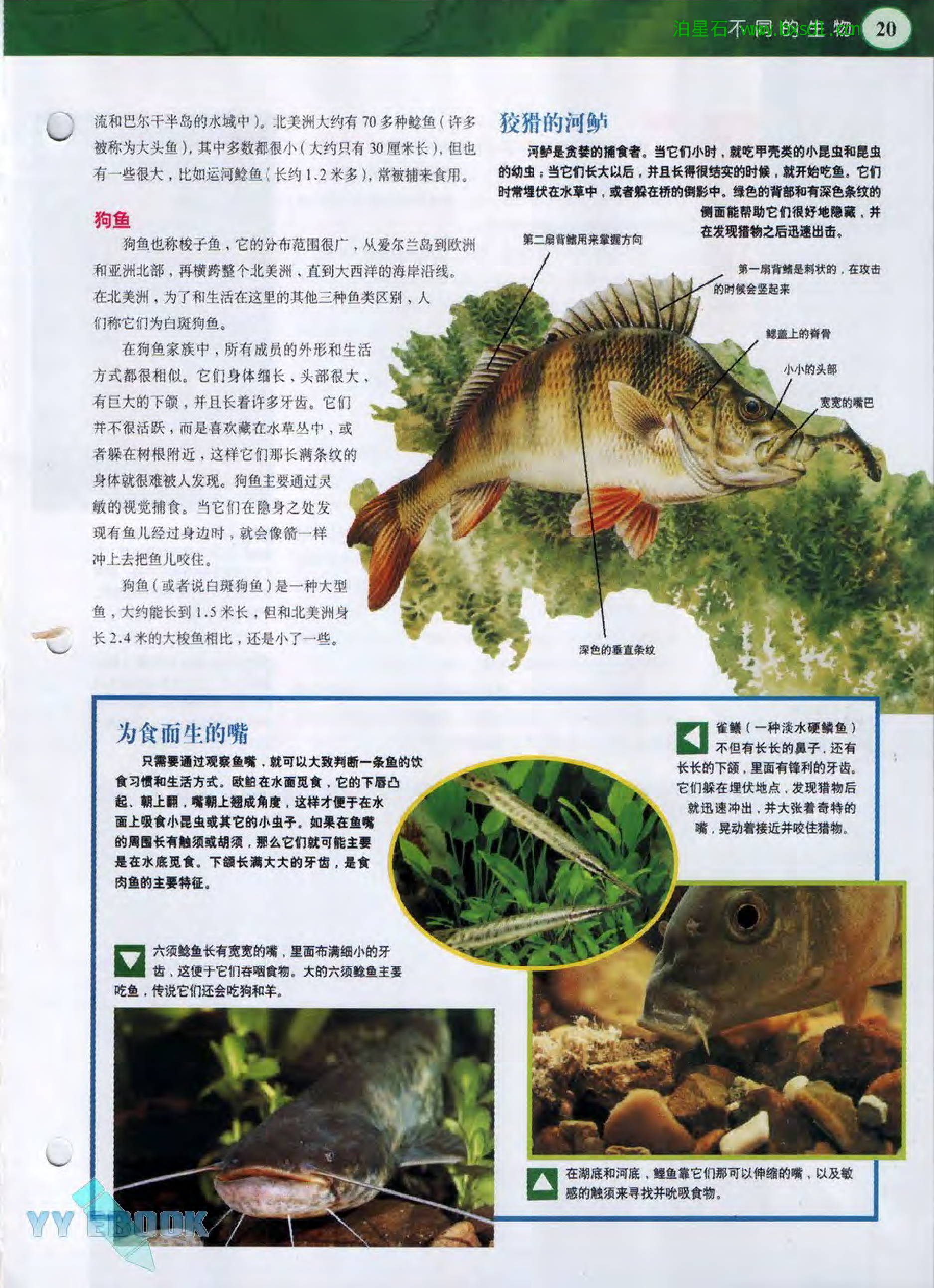 发现之旅--家庭趣味图解百科丛书17.pdf 第5页