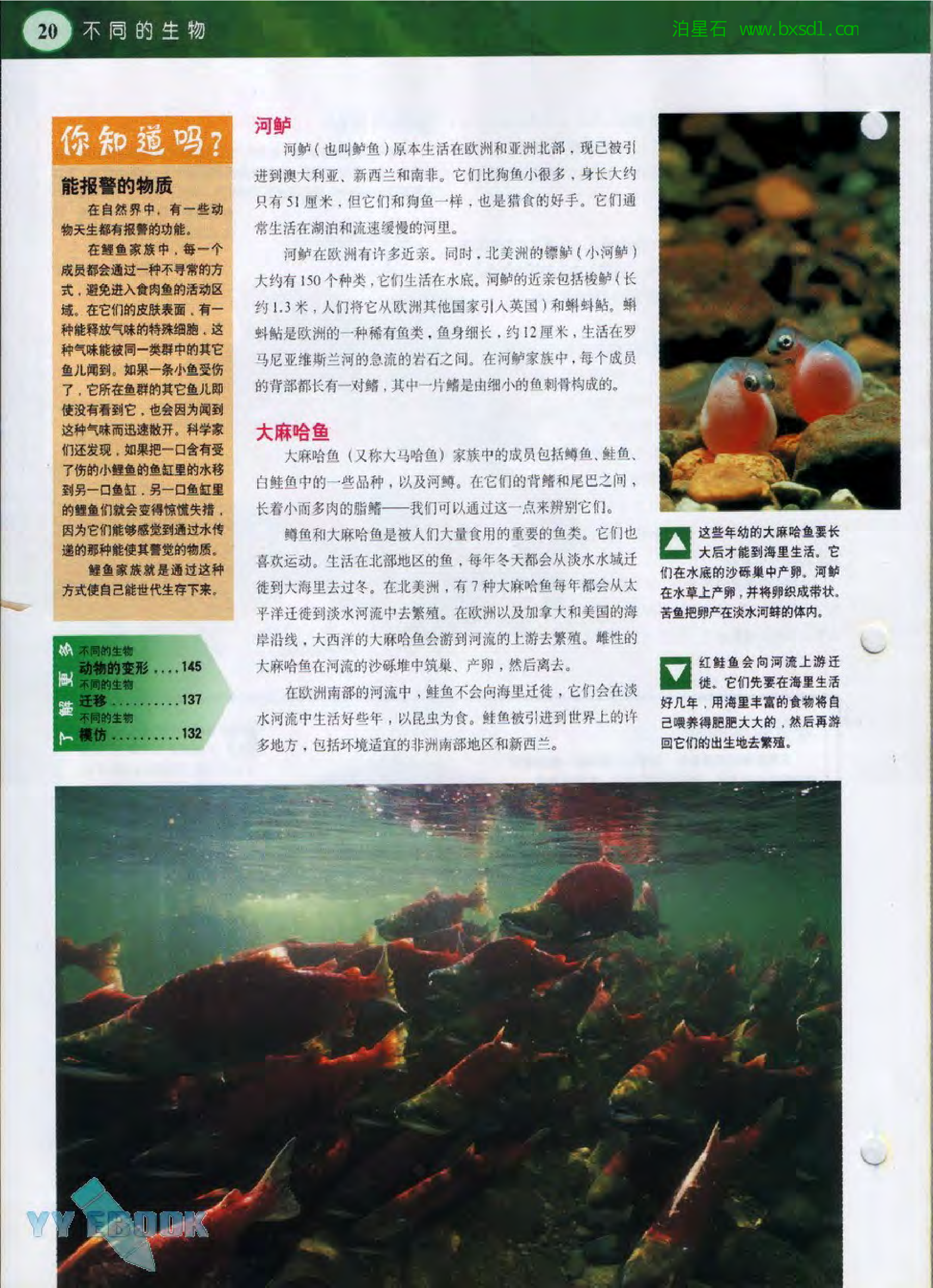 发现之旅--家庭趣味图解百科丛书17.pdf 第6页