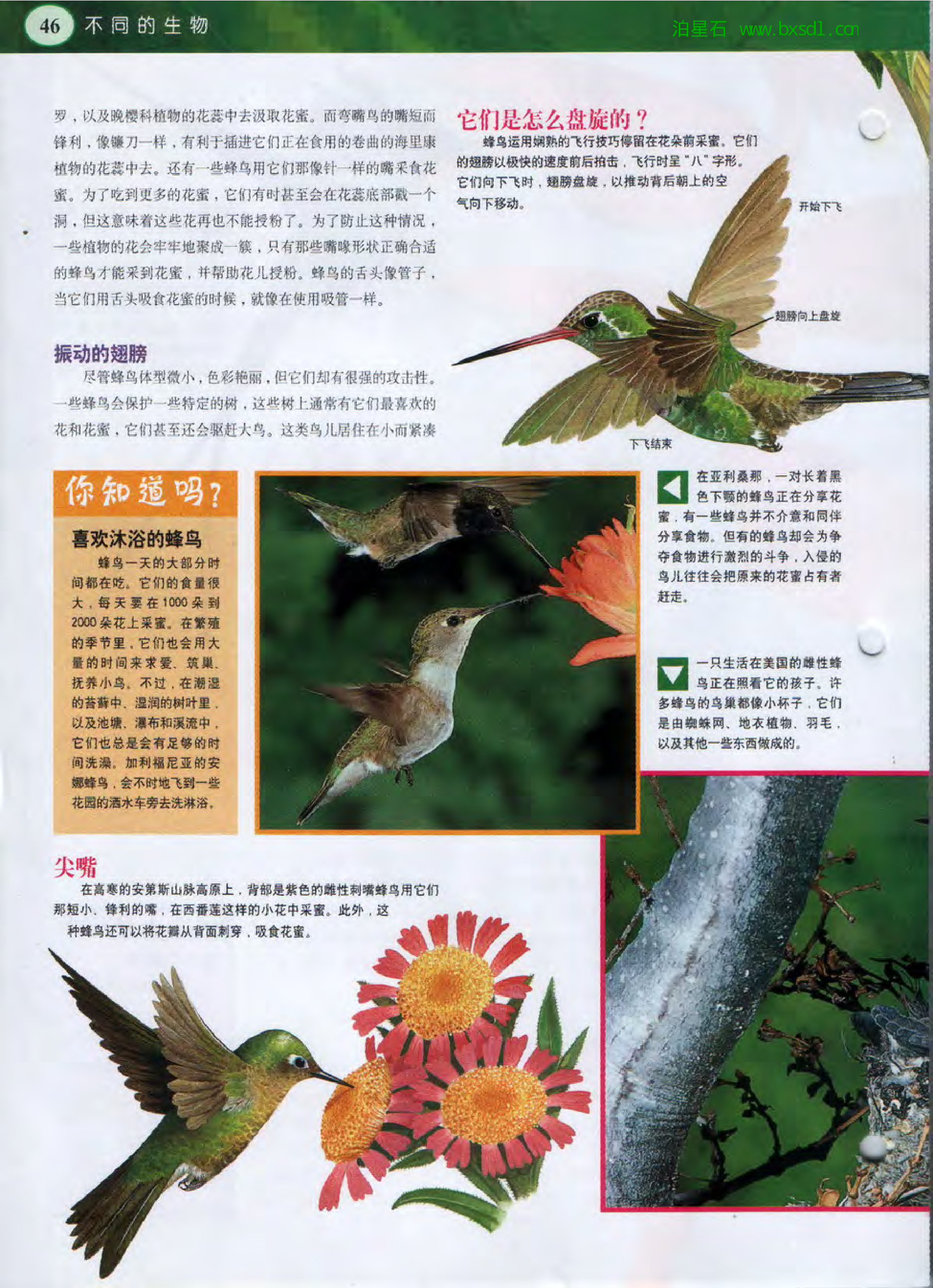 发现之旅--家庭趣味图解百科丛书15.pdf 第4页