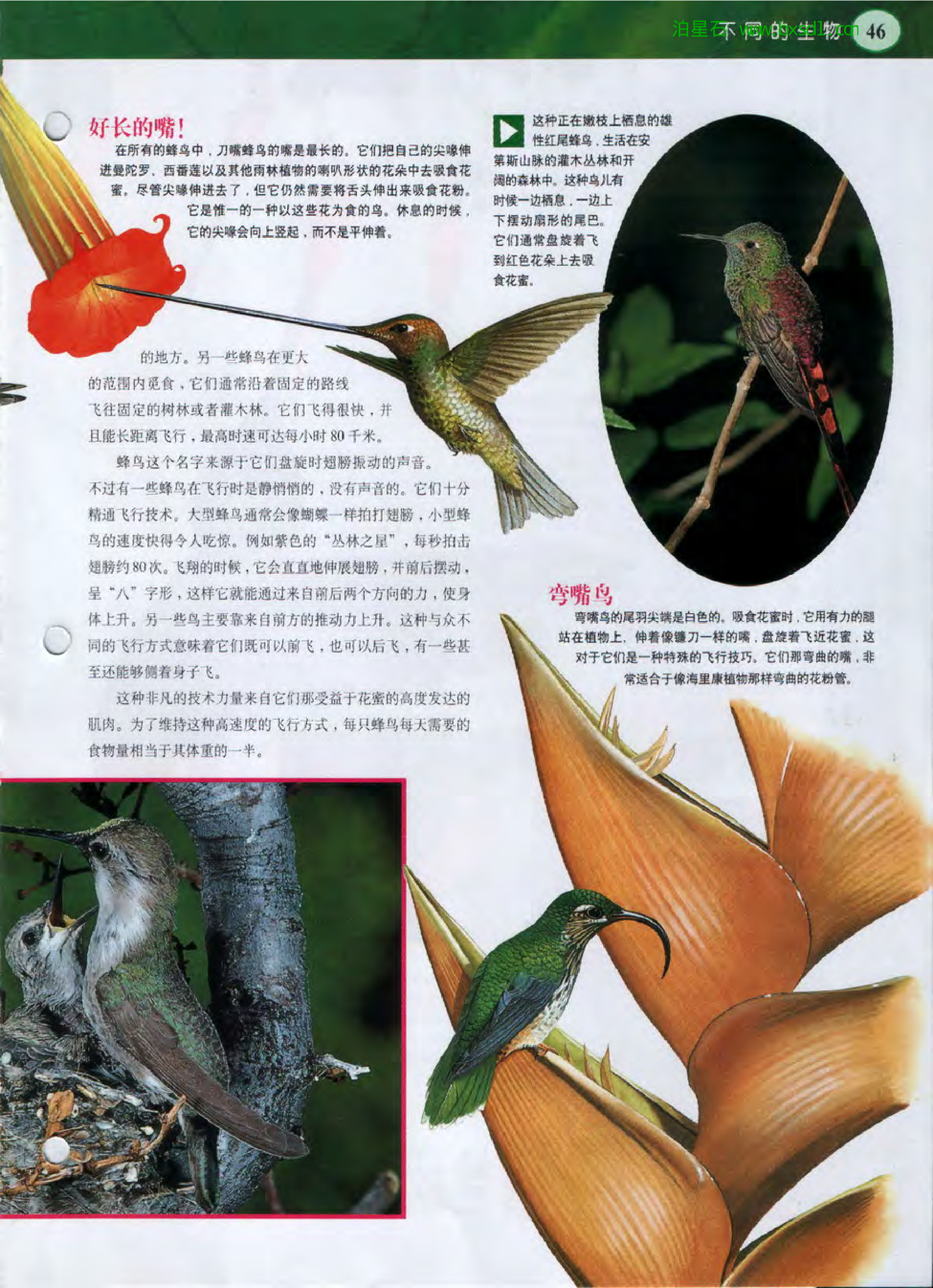 发现之旅--家庭趣味图解百科丛书15.pdf 第5页