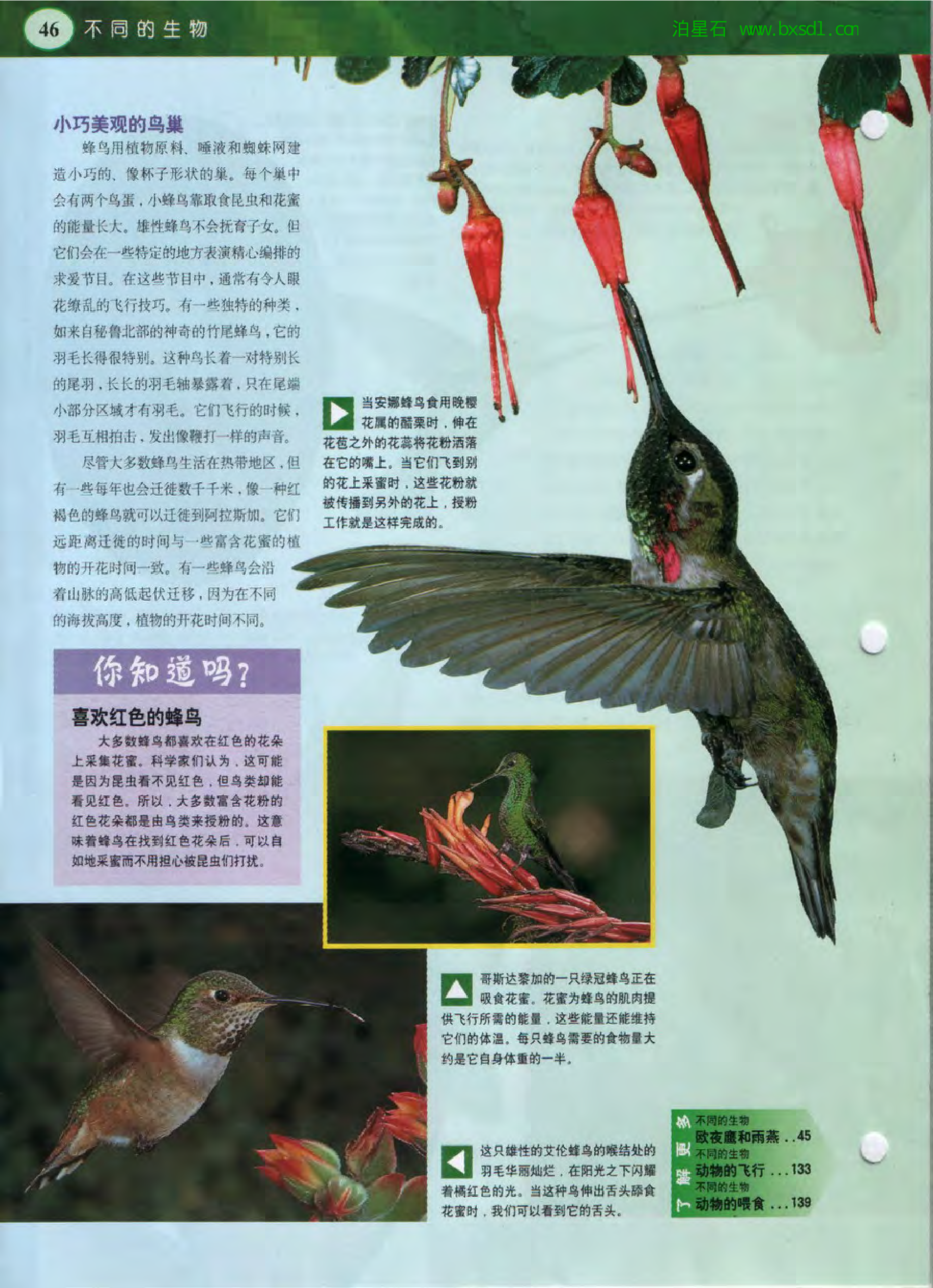 发现之旅--家庭趣味图解百科丛书15.pdf 第6页