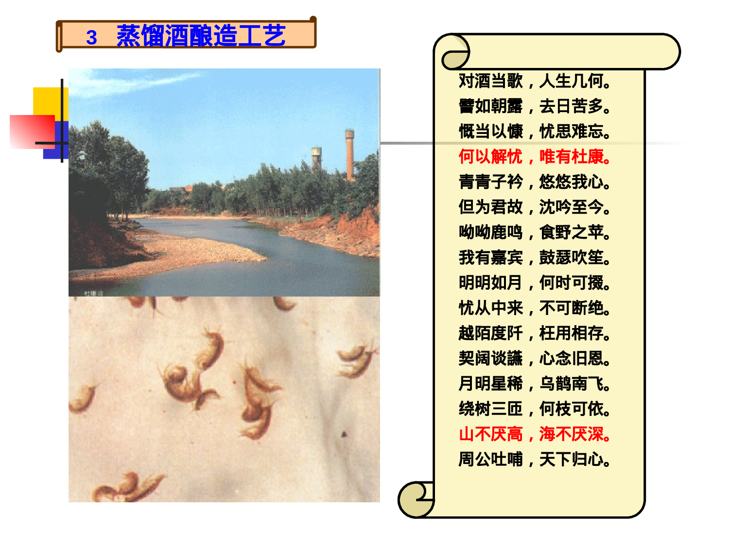 酿造工艺学--蒸馏酒酿造_11下_2003.ppt 第6页