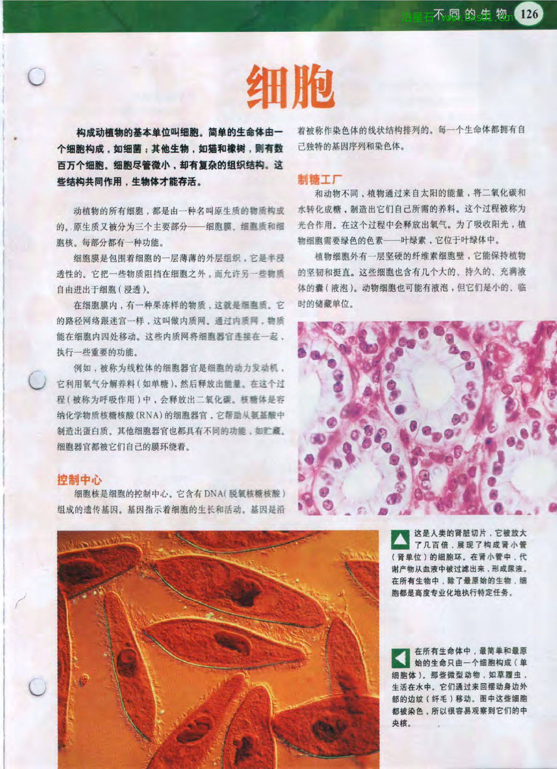 发现之旅--家庭趣味图解百科丛书14.pdf 第3页