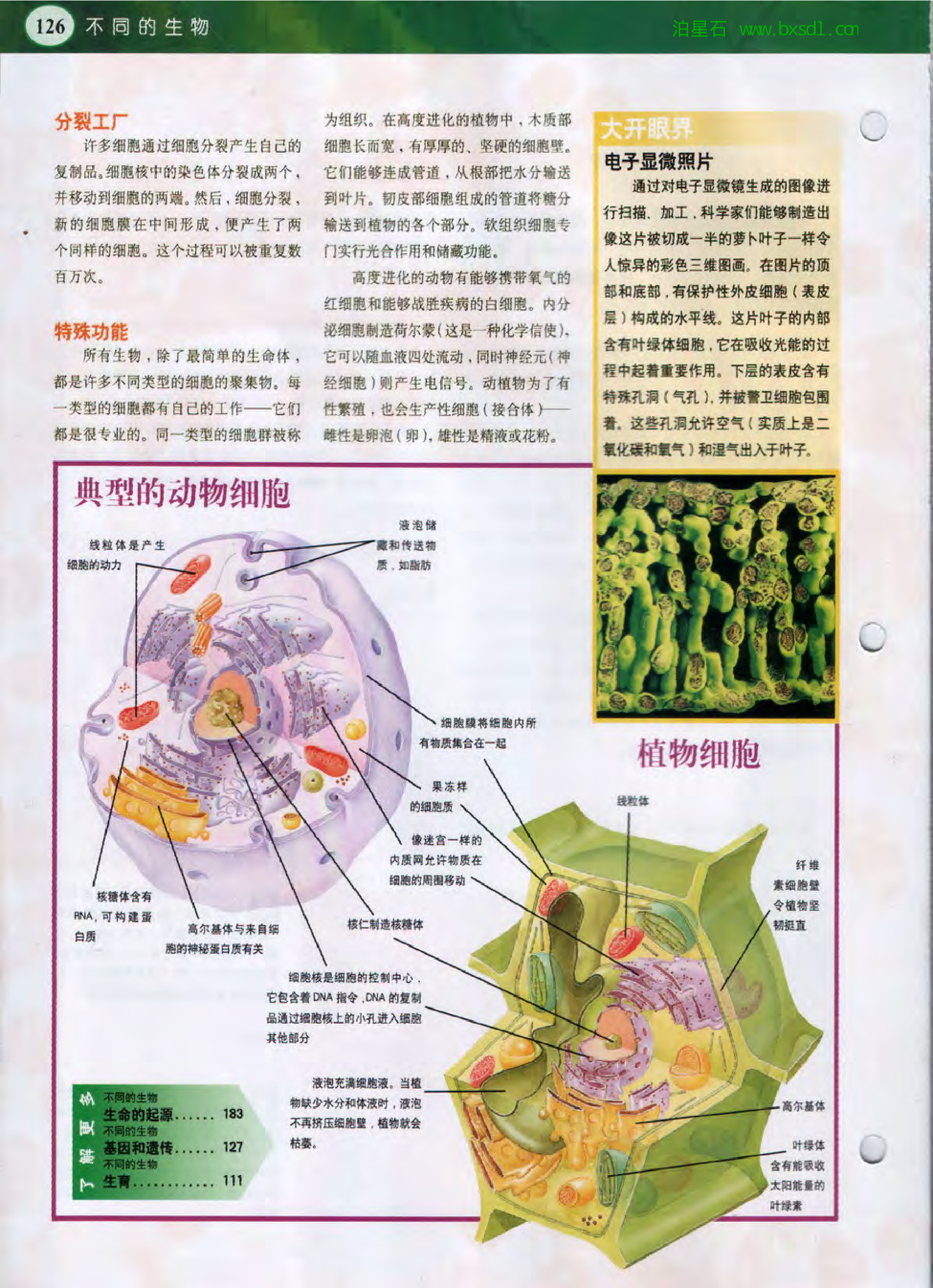 发现之旅--家庭趣味图解百科丛书14.pdf 第4页
