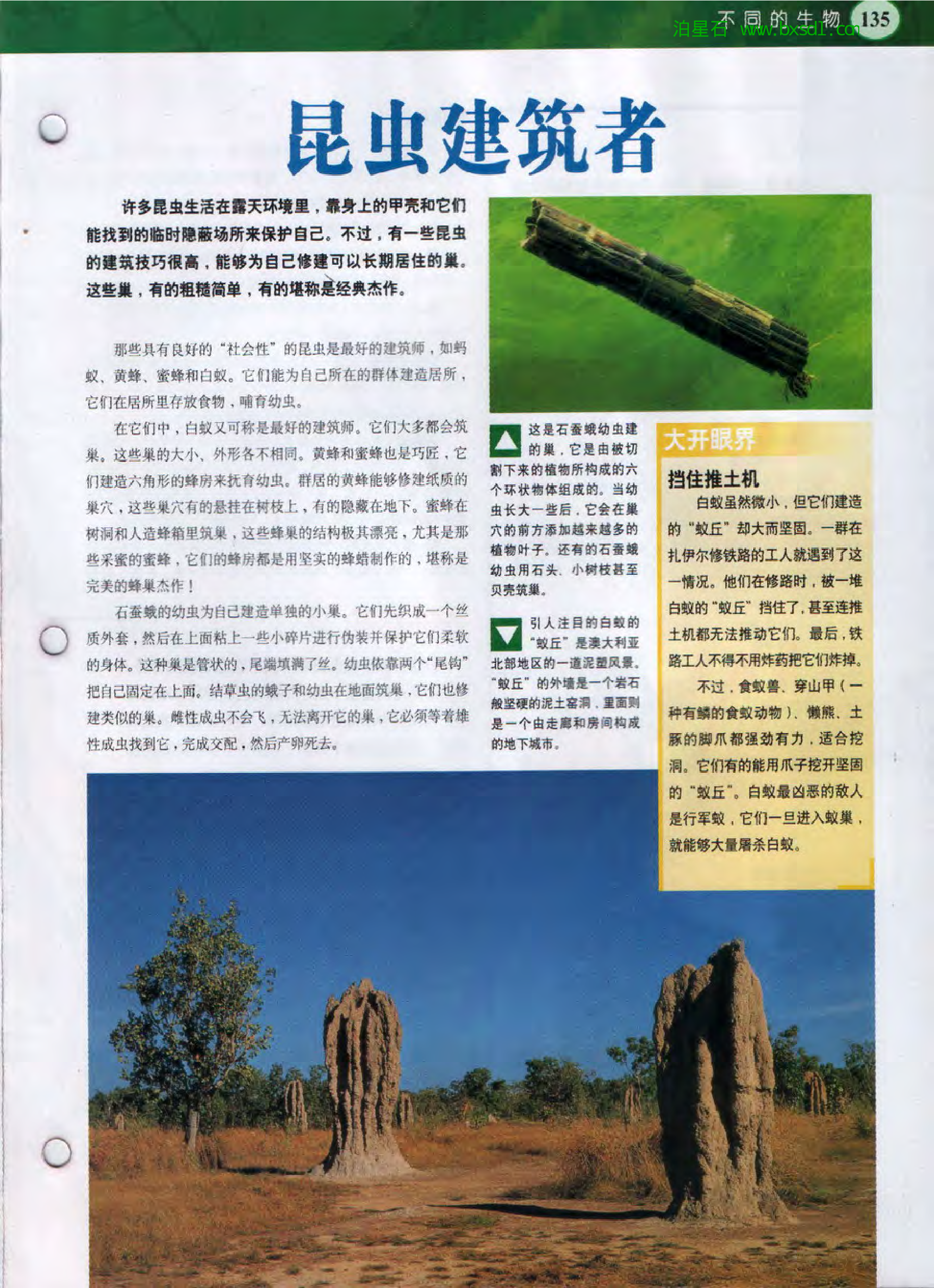 发现之旅--家庭趣味图解百科丛书13.pdf 第3页