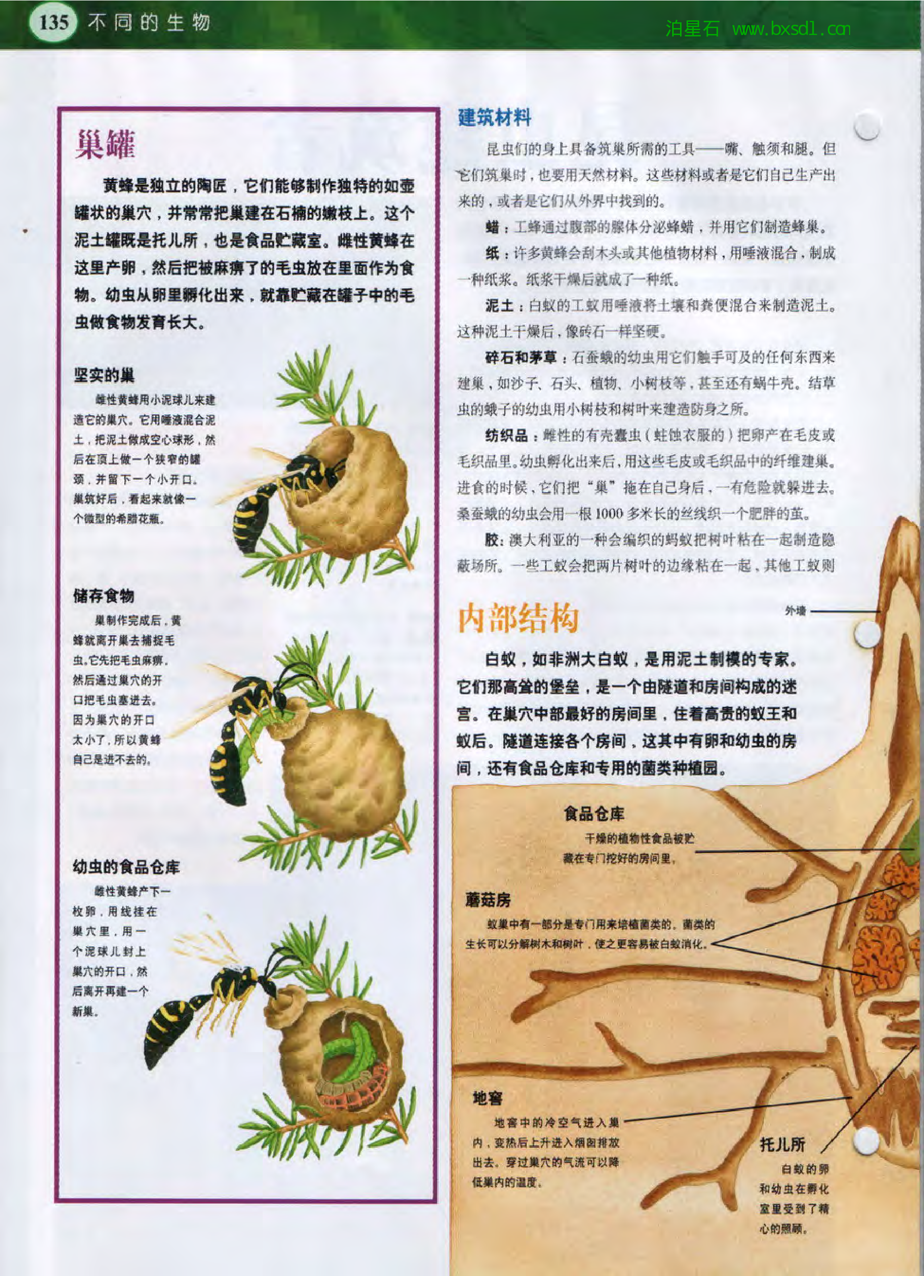 发现之旅--家庭趣味图解百科丛书13.pdf 第4页