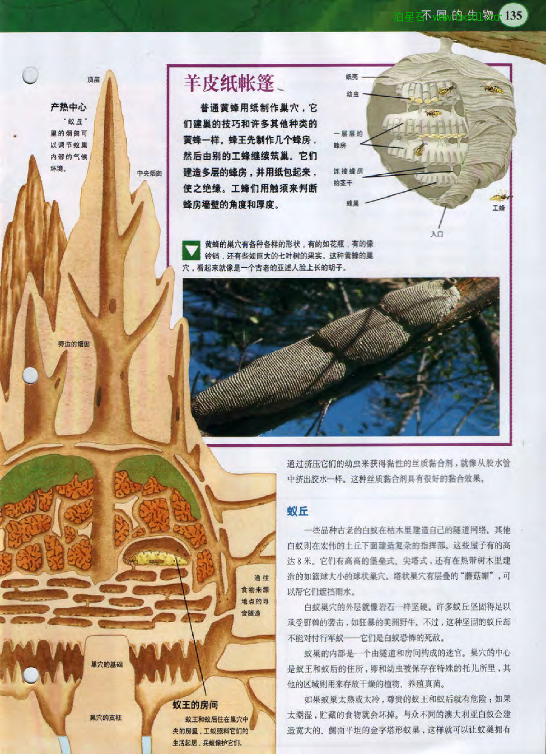 发现之旅--家庭趣味图解百科丛书13.pdf 第5页