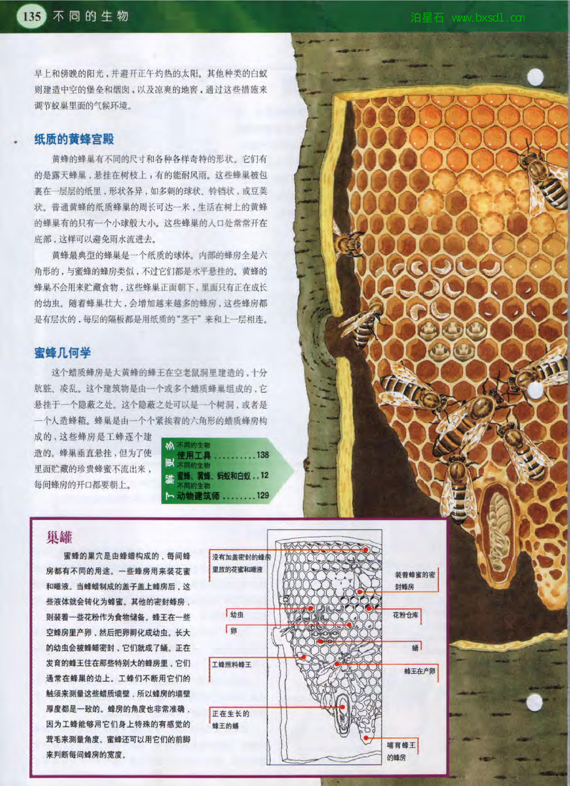 发现之旅--家庭趣味图解百科丛书13.pdf 第6页