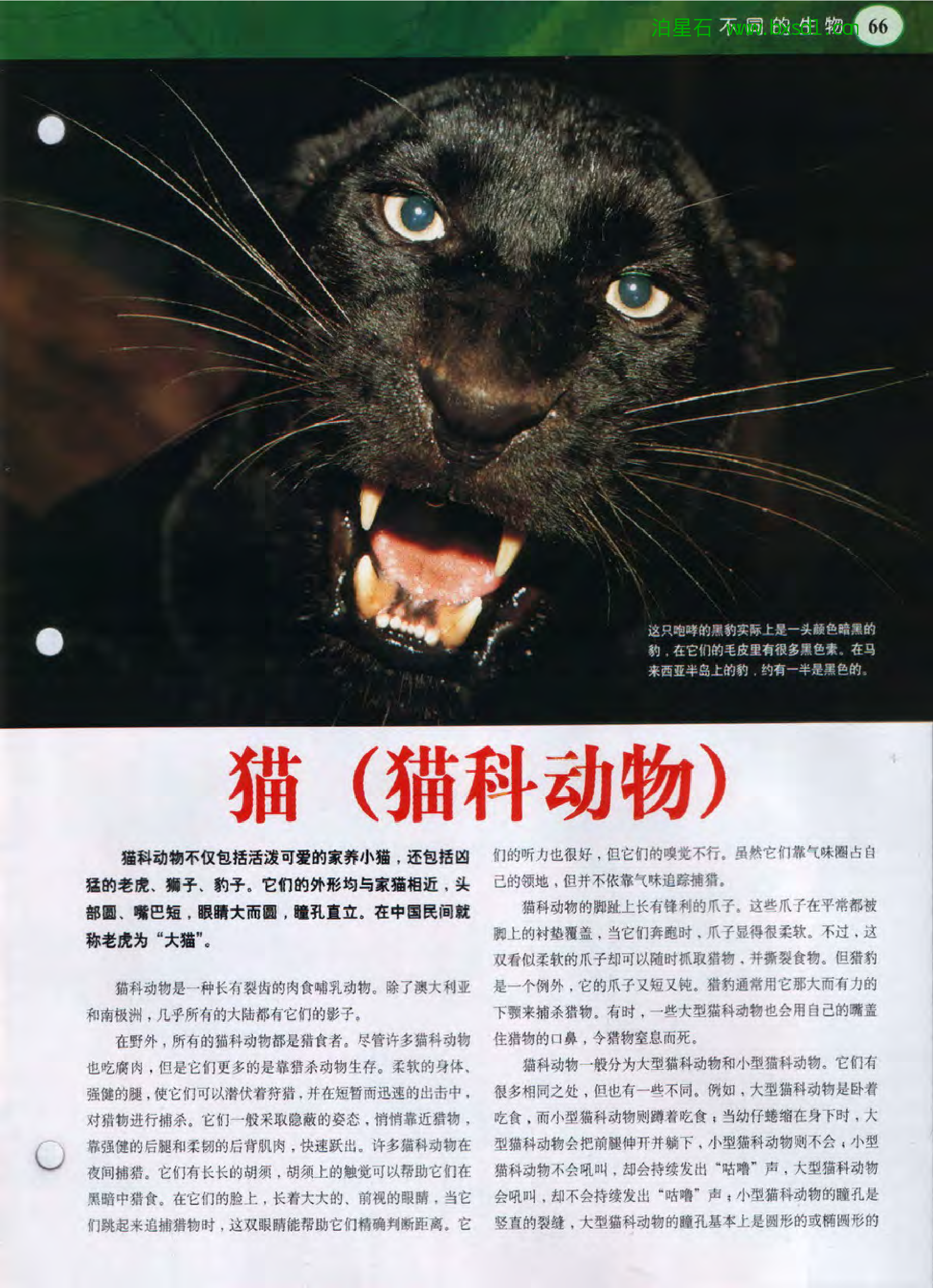 发现之旅--家庭趣味图解百科丛书12.pdf 第3页