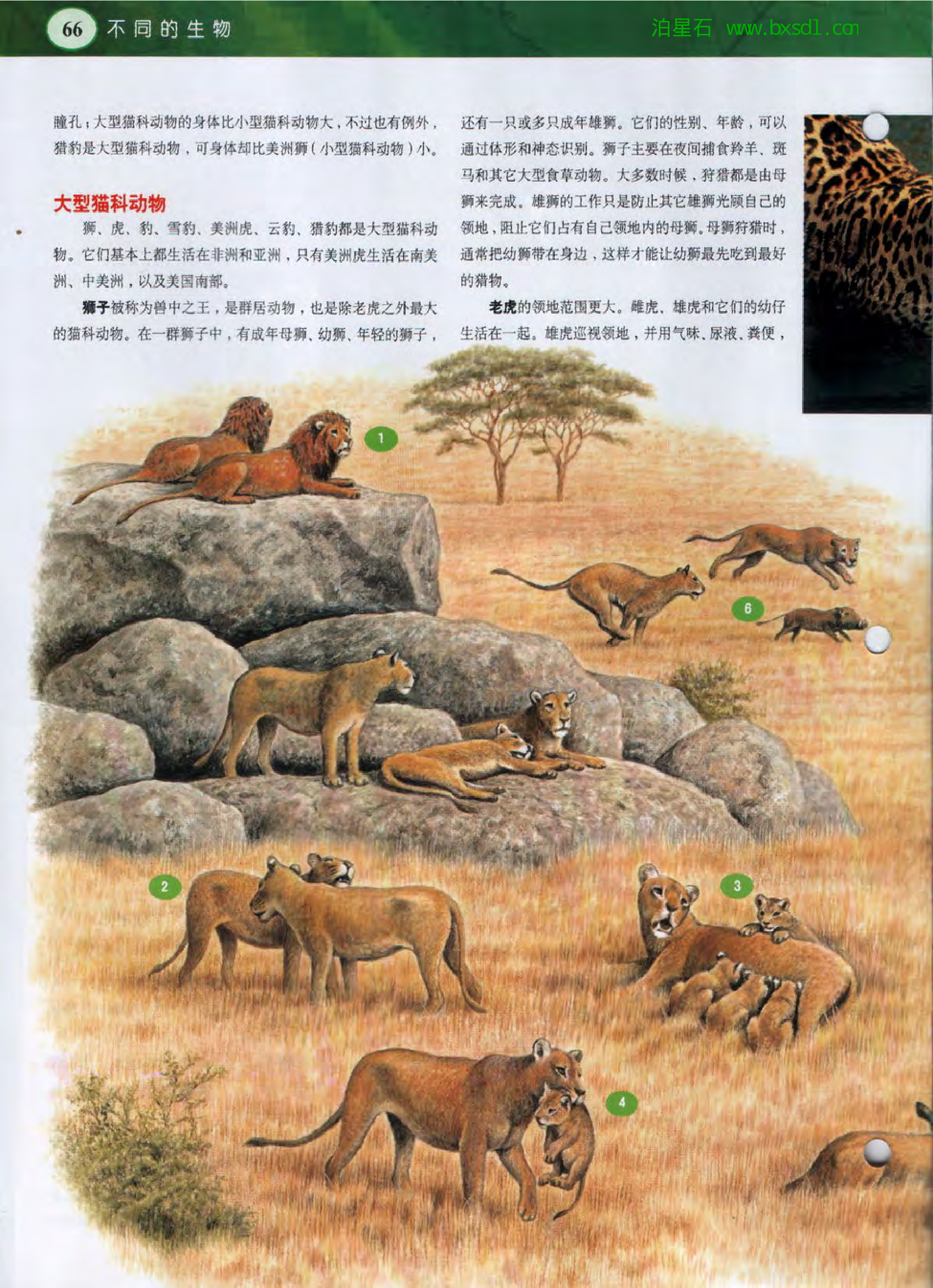 发现之旅--家庭趣味图解百科丛书12.pdf 第4页