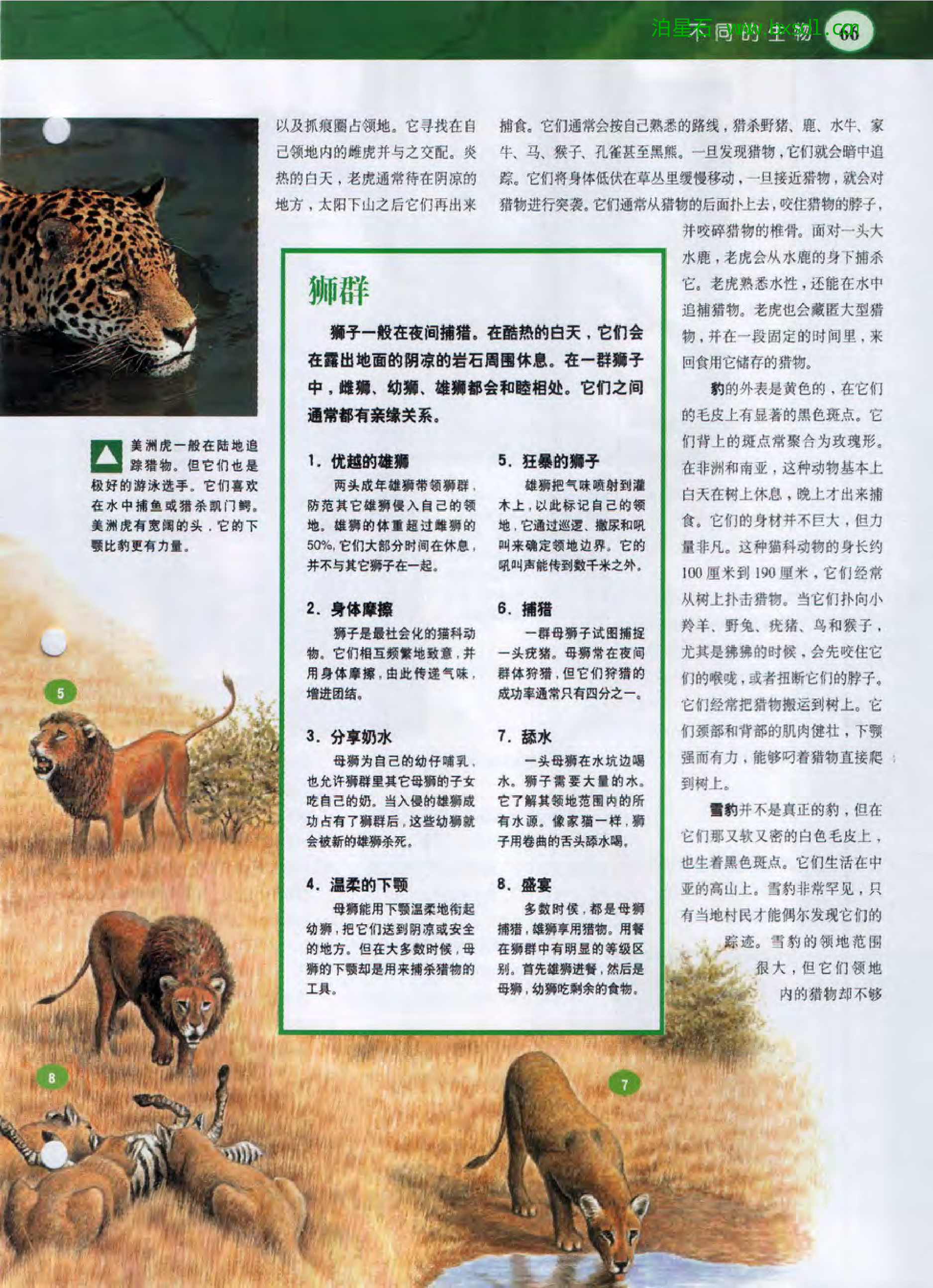 发现之旅--家庭趣味图解百科丛书12.pdf 第5页