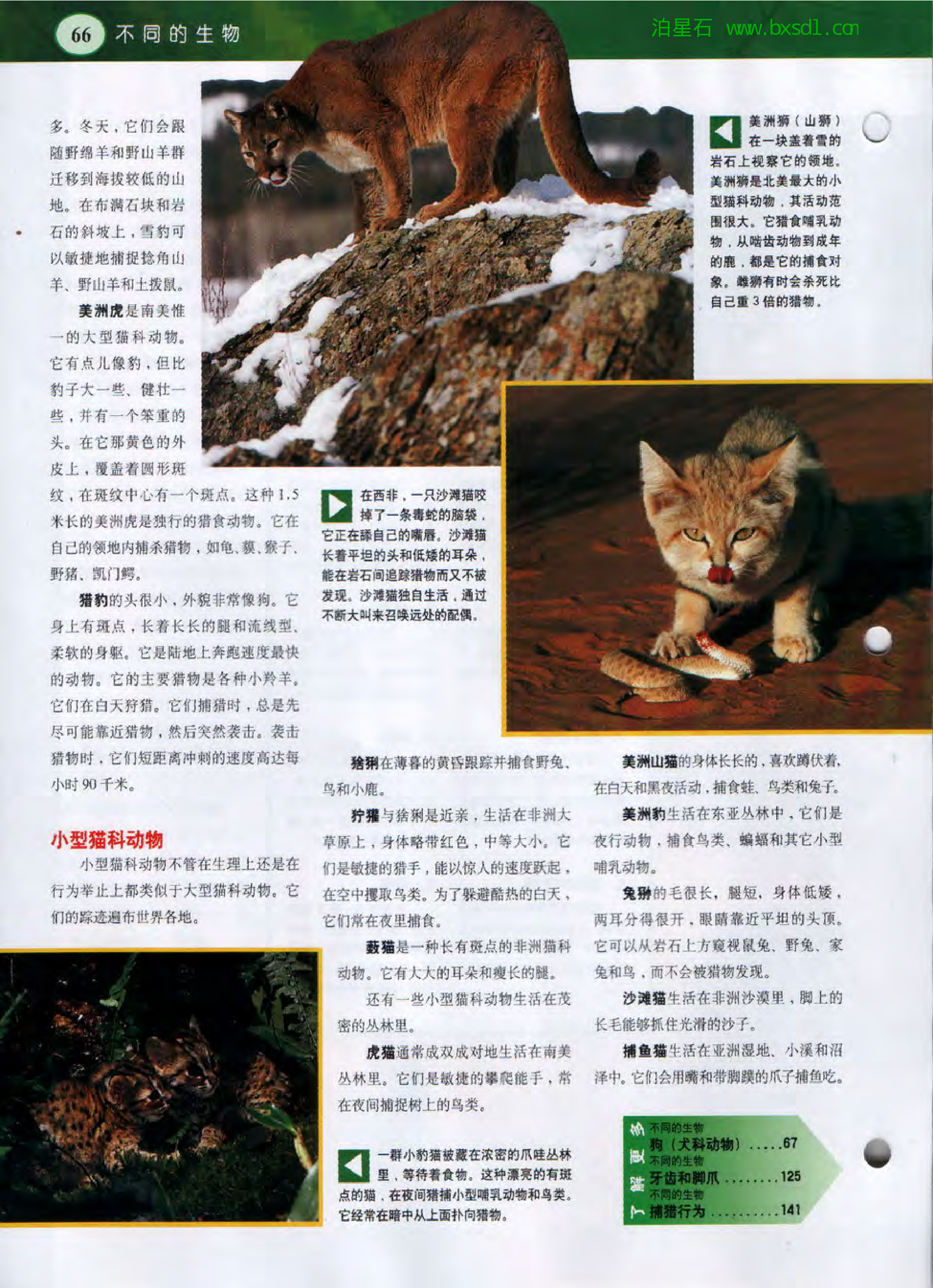 发现之旅--家庭趣味图解百科丛书12.pdf 第6页