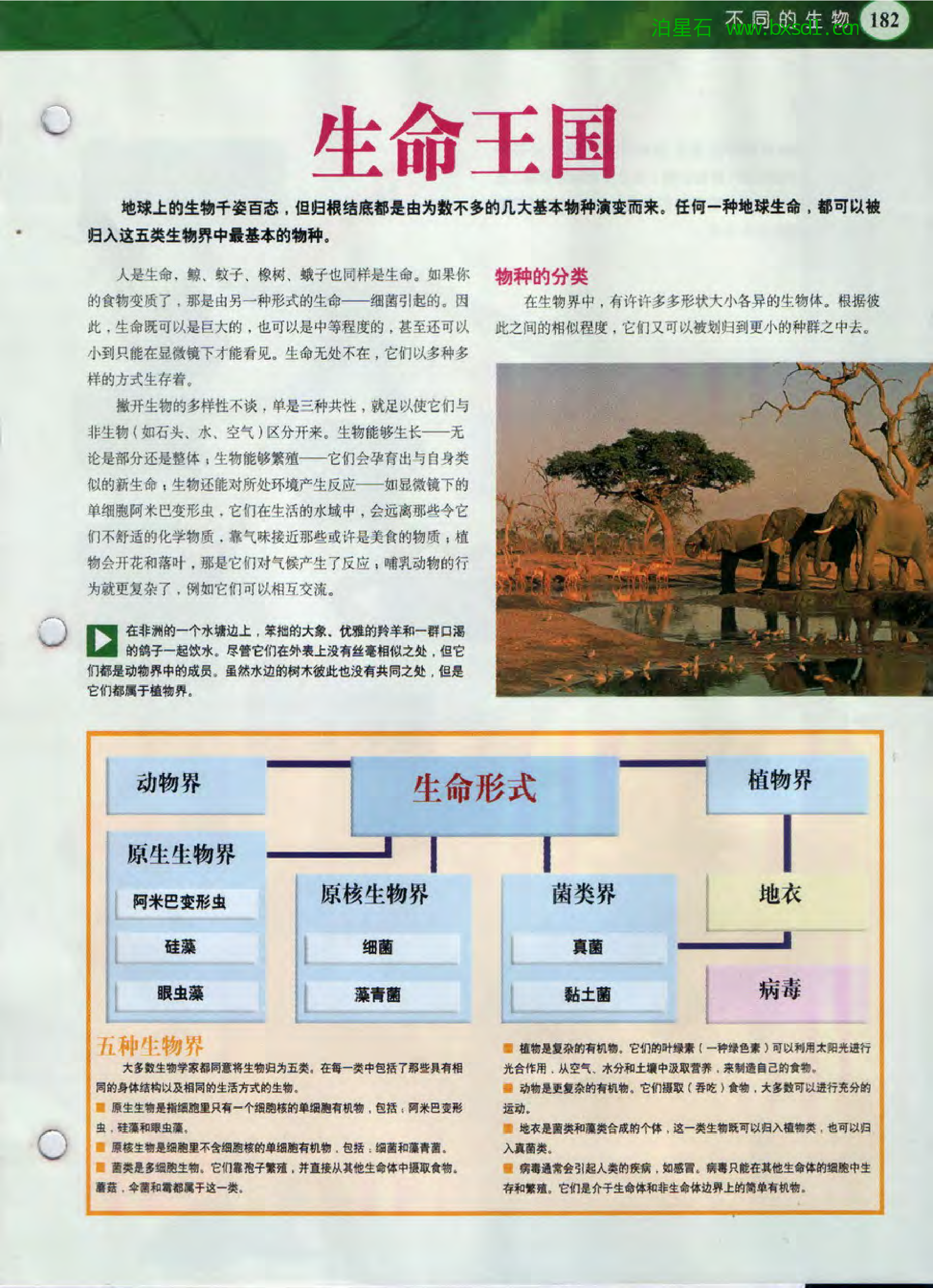 发现之旅--家庭趣味图解百科丛书11.pdf 第3页