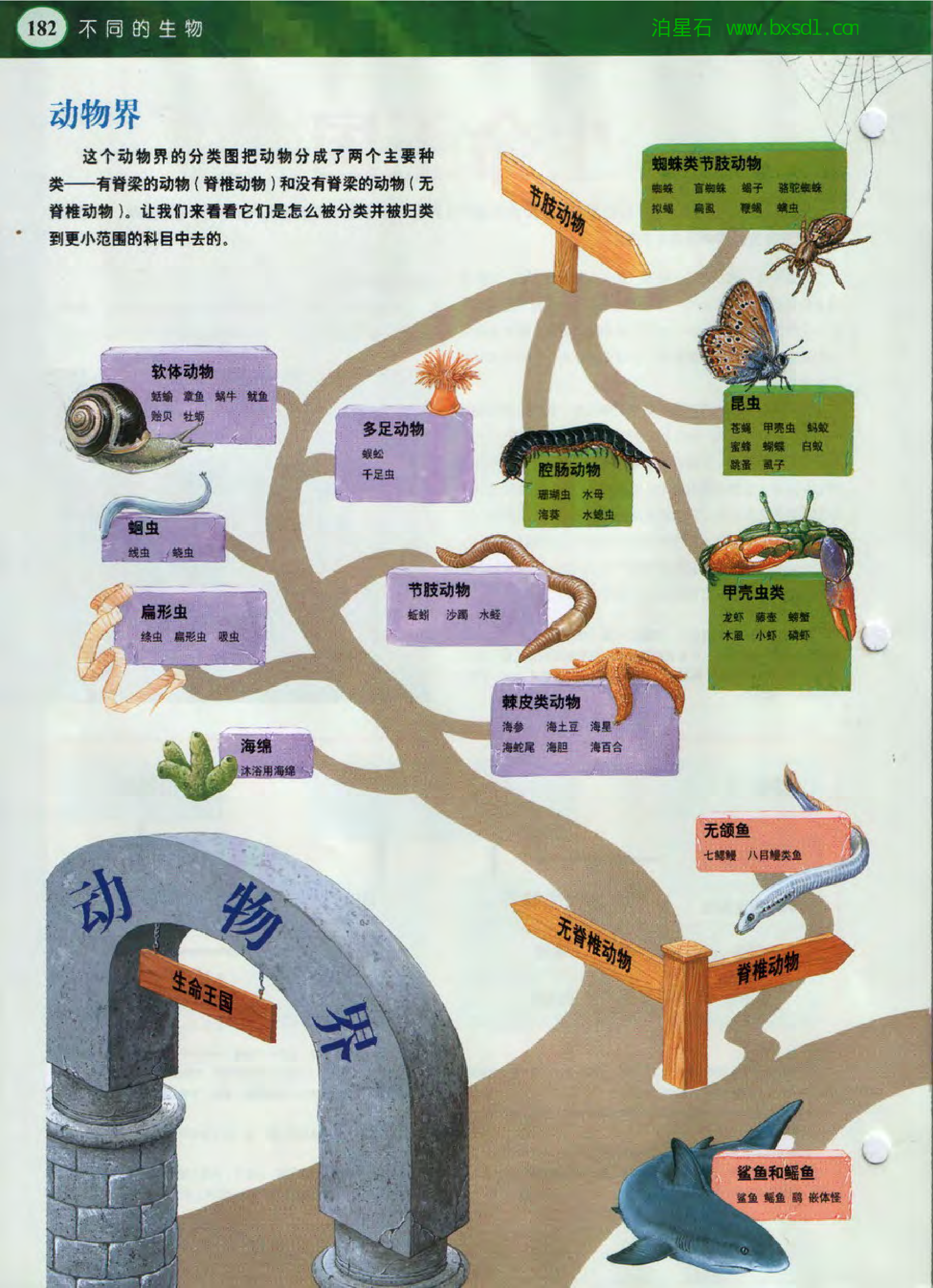 发现之旅--家庭趣味图解百科丛书11.pdf 第4页