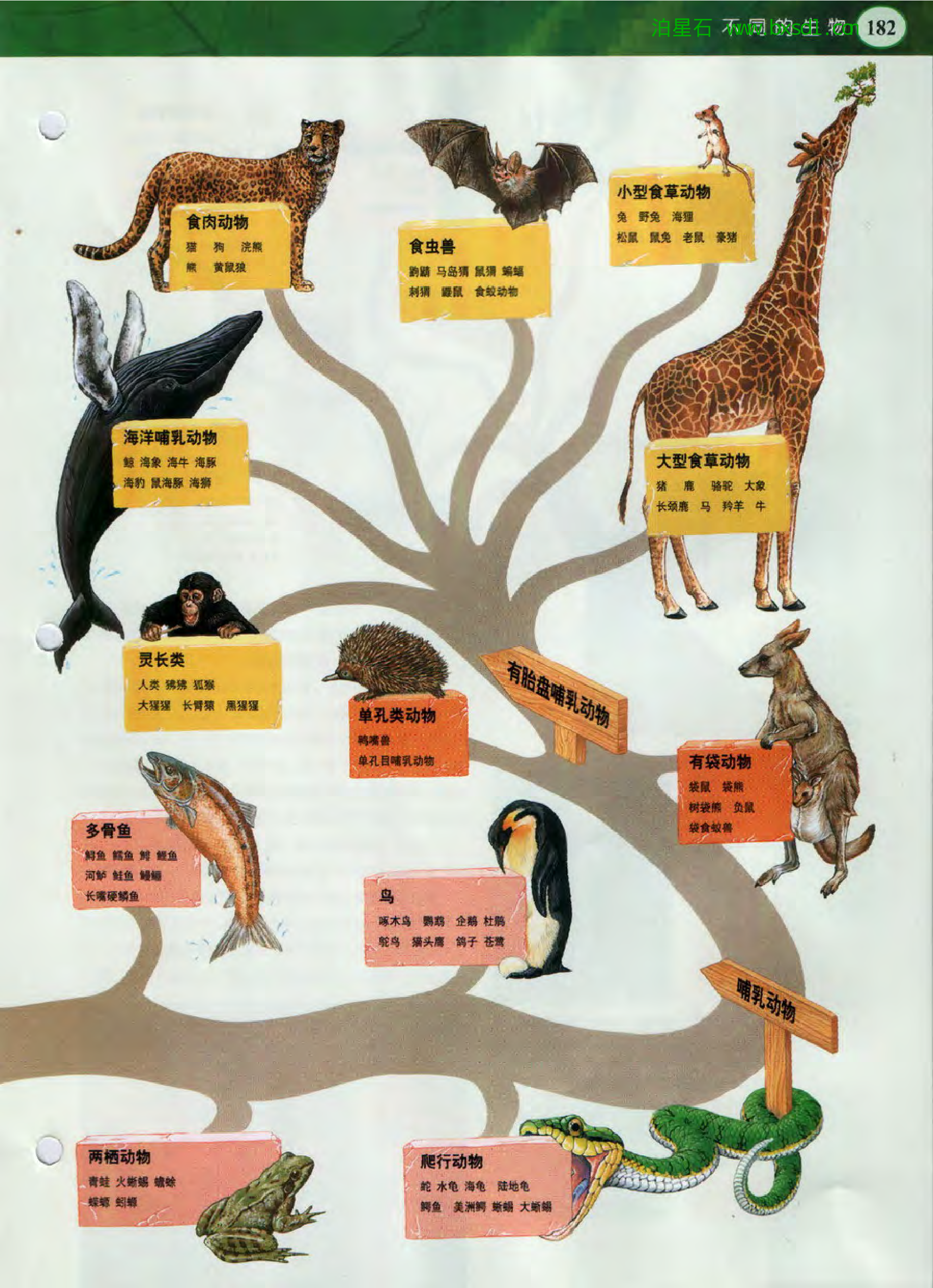 发现之旅--家庭趣味图解百科丛书11.pdf 第5页