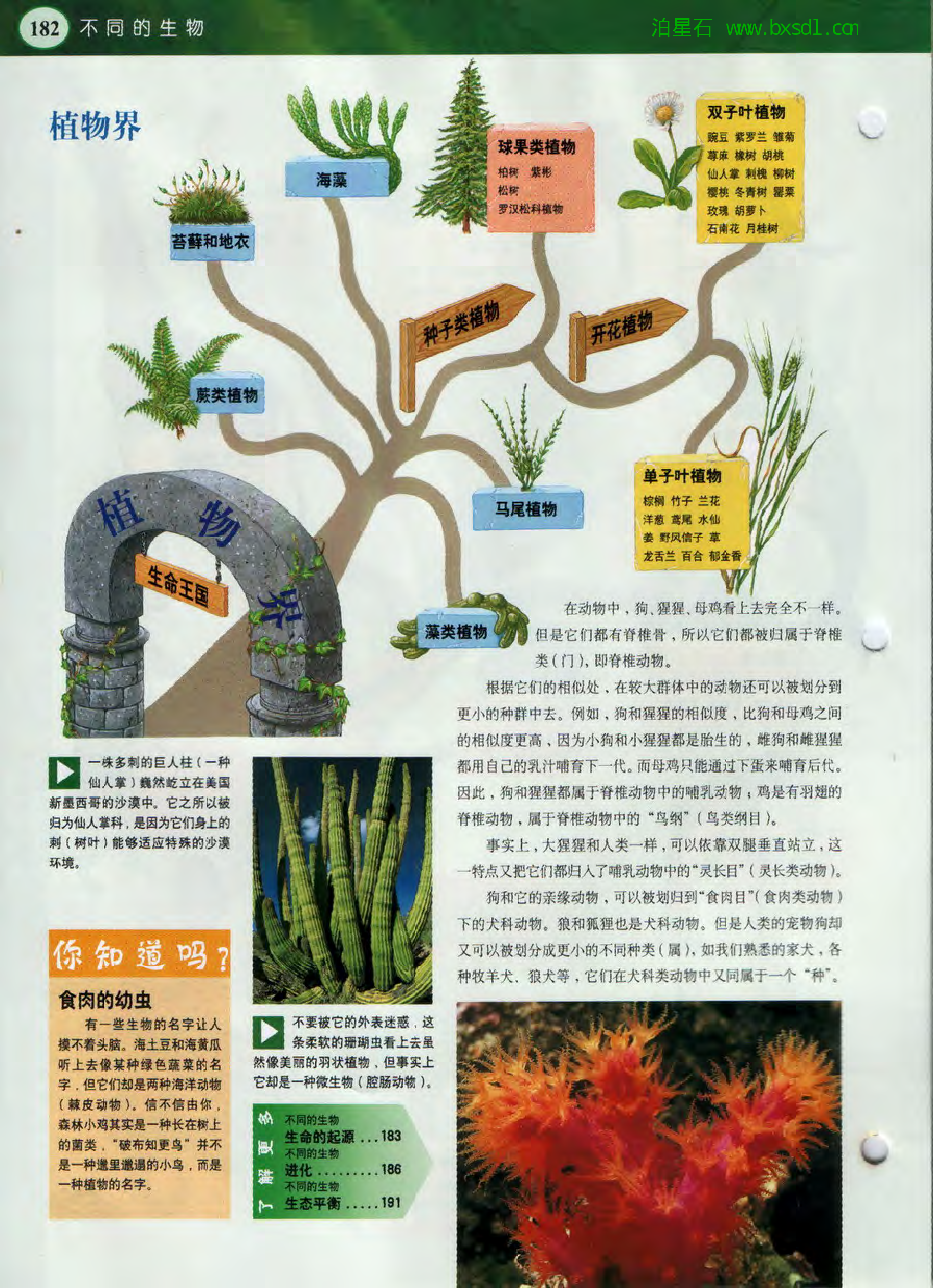 发现之旅--家庭趣味图解百科丛书11.pdf 第6页