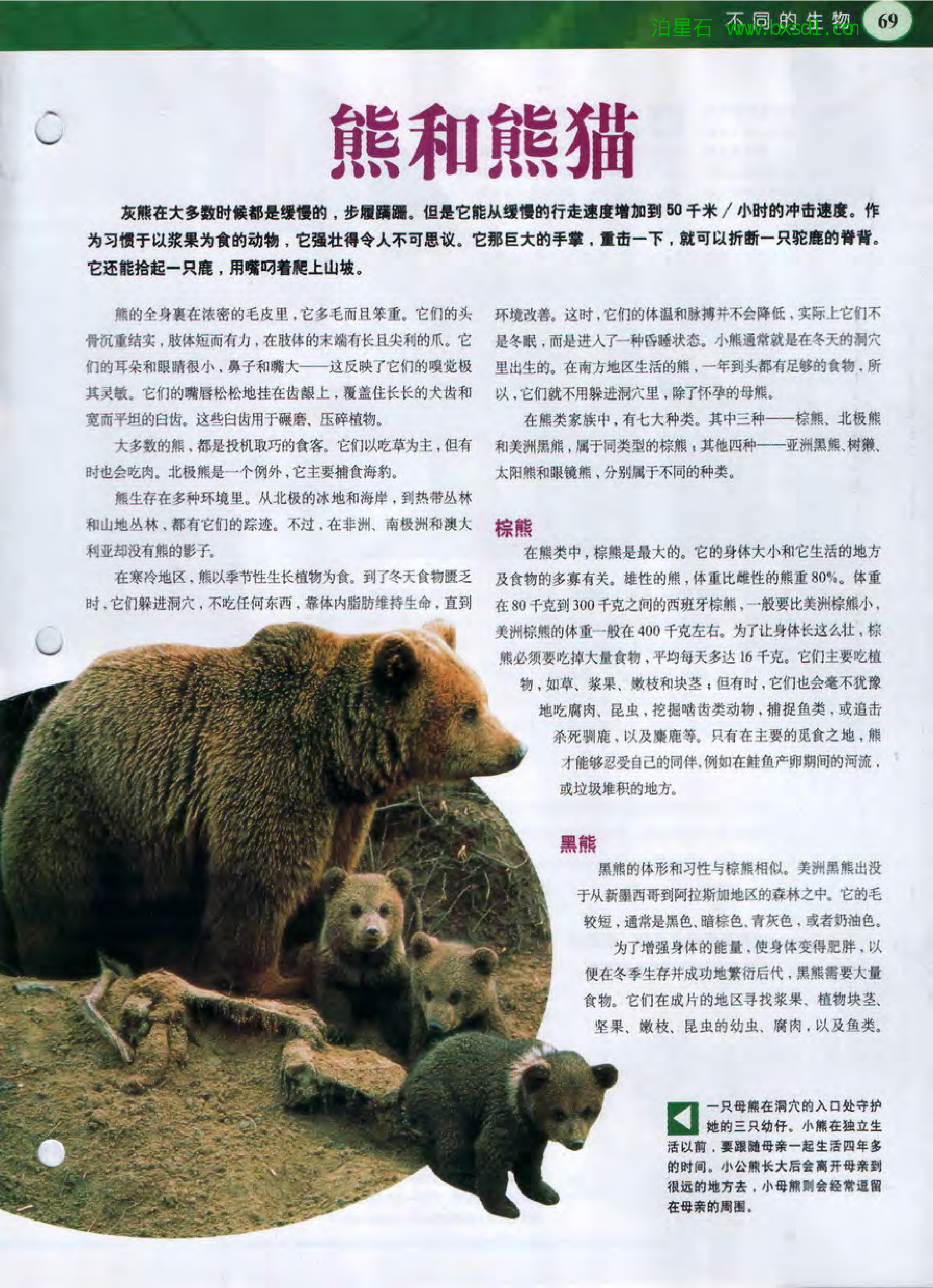 发现之旅--家庭趣味图解百科丛书10.pdf 第3页