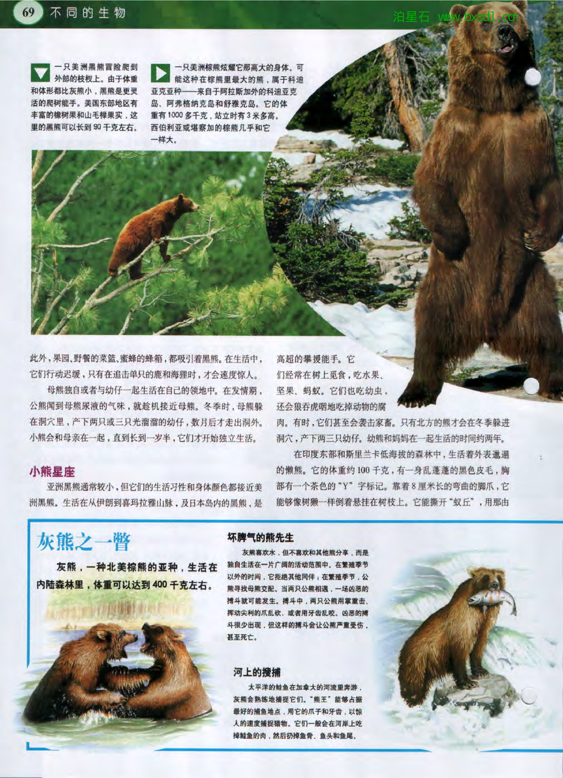 发现之旅--家庭趣味图解百科丛书10.pdf 第4页